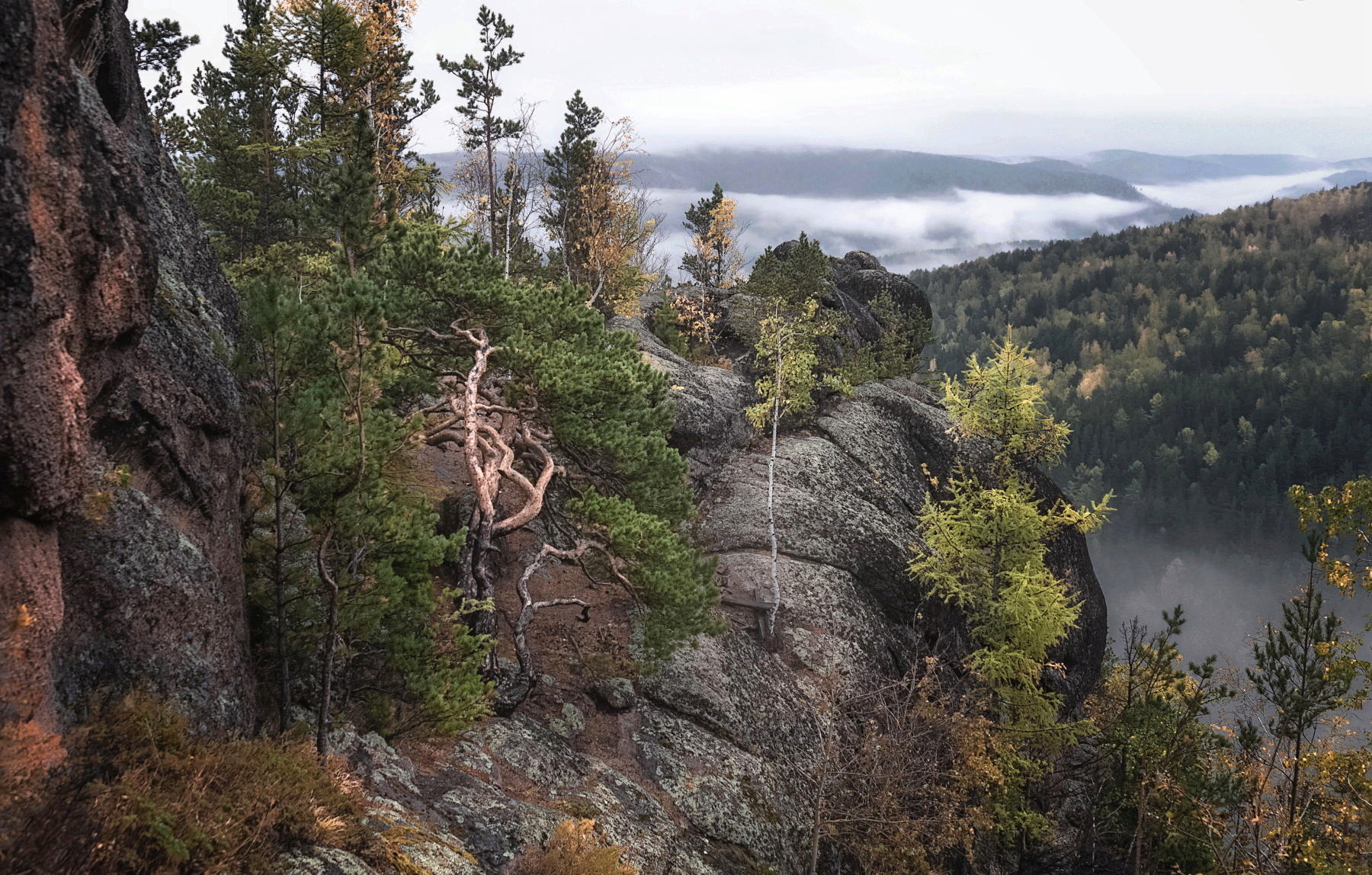 скалы, столбы, скальный  массив воробушки, сосна, осень, Марина Фомина