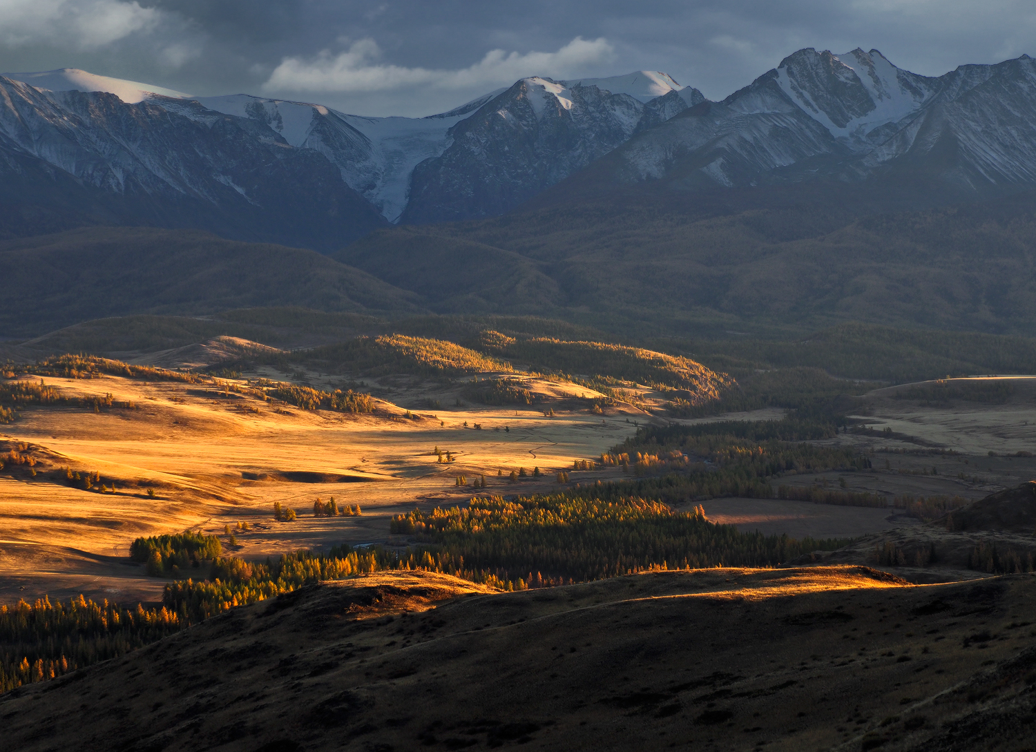 Курай, Курайская степь, Горный Алтай, Галина Хвостенко