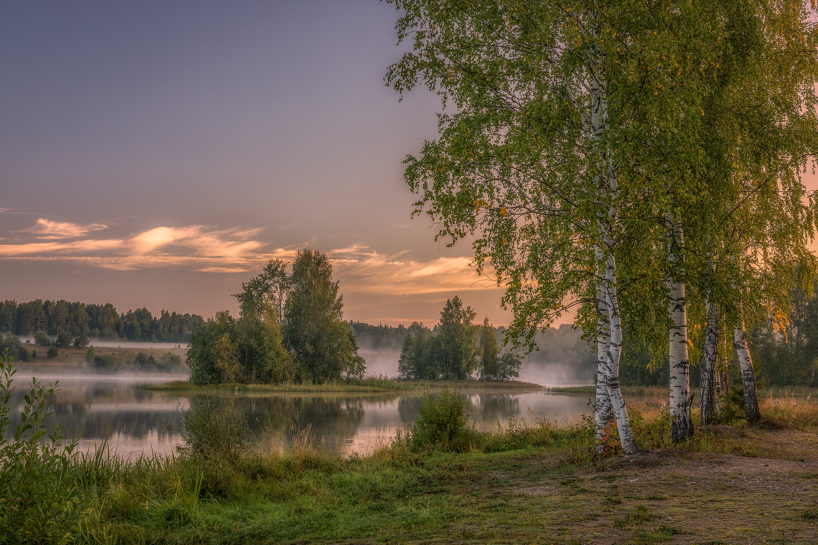 Вологодская область, Гусева Елена