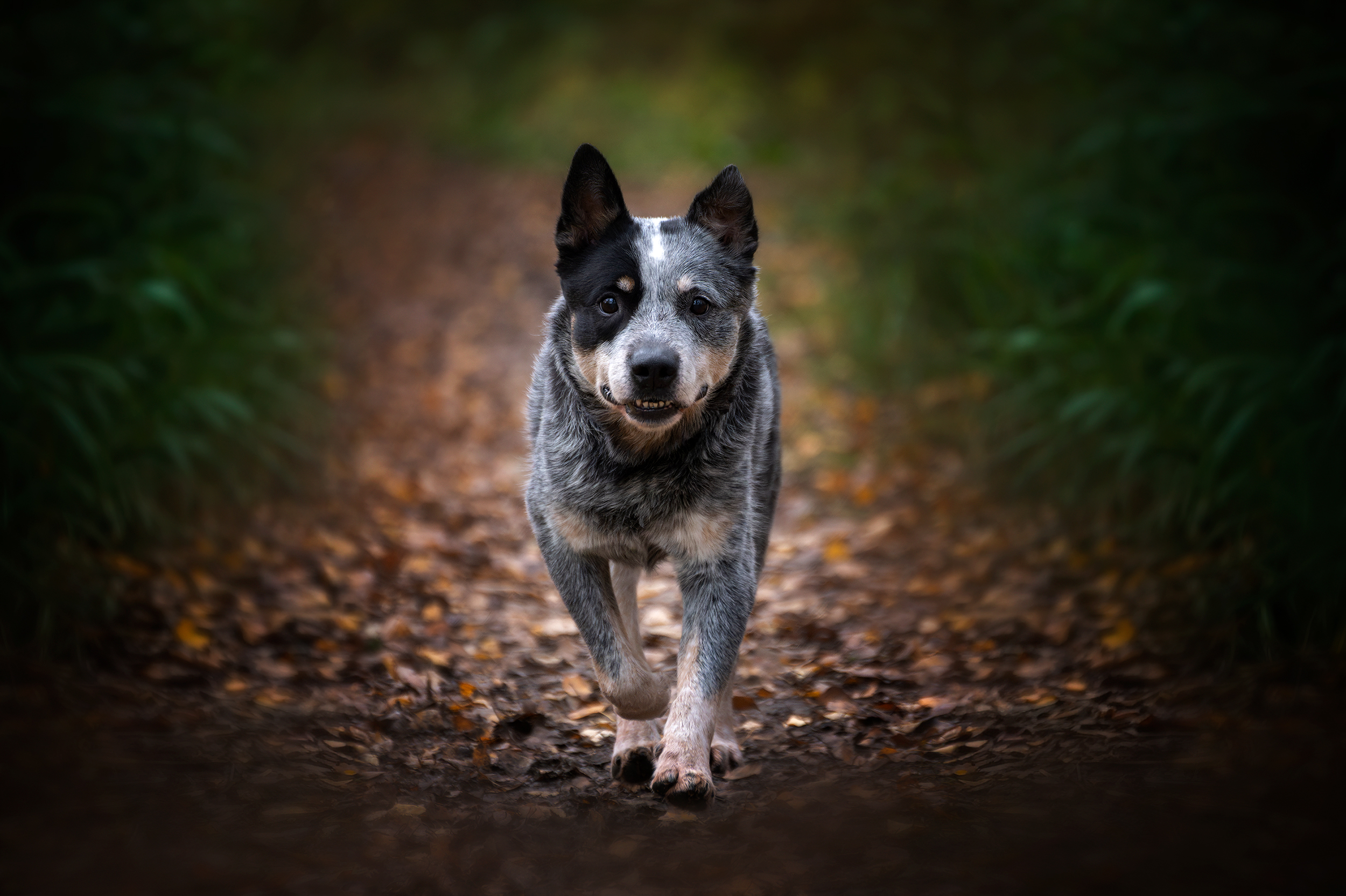 , Юлия Гончар