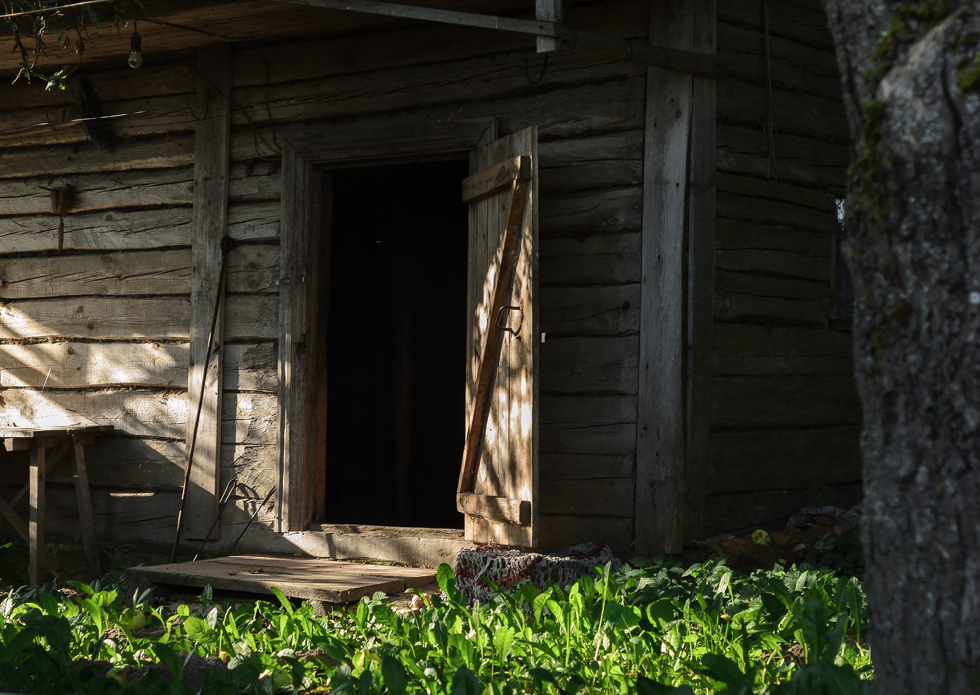 , Лысенко Сергей