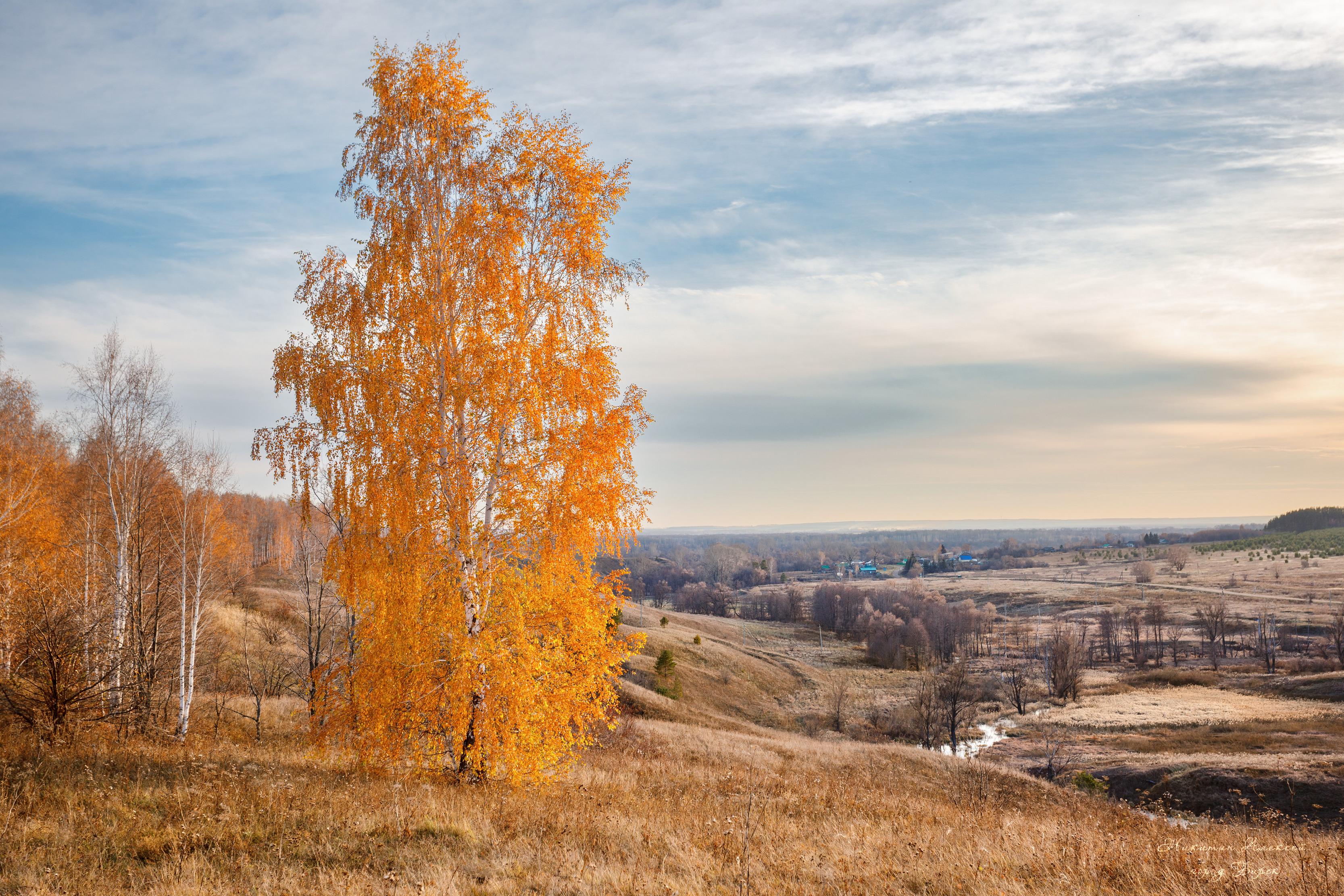 , Никитин Алексей