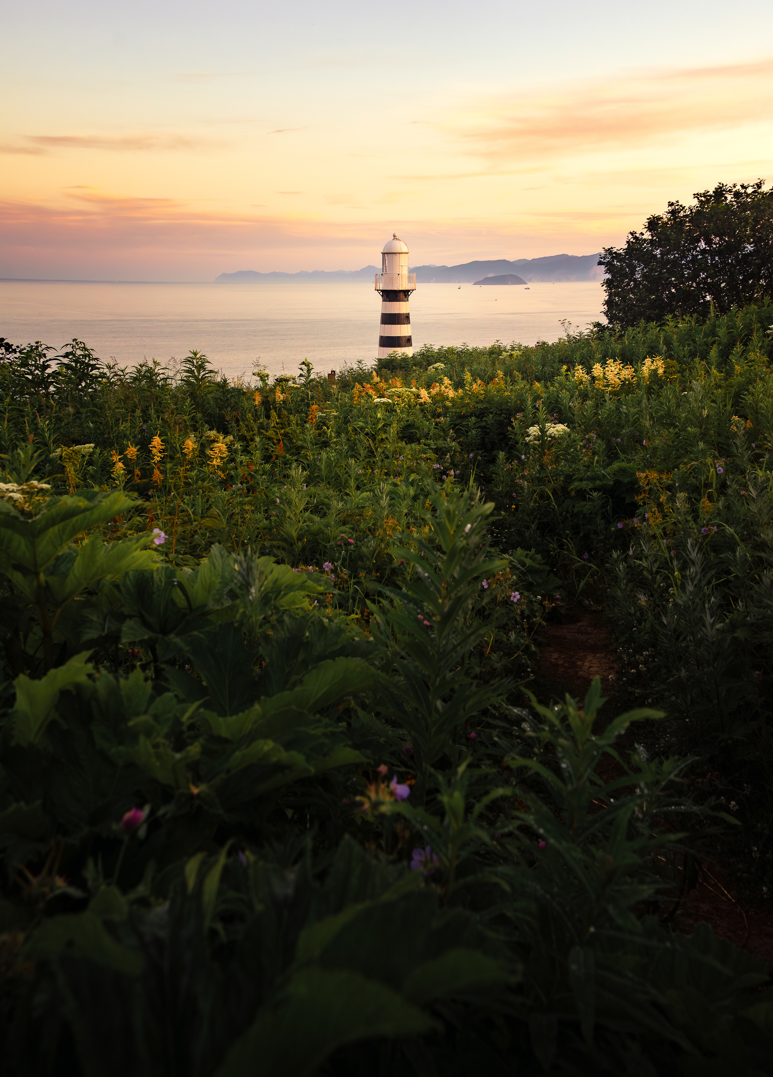 , Антон Сидоров