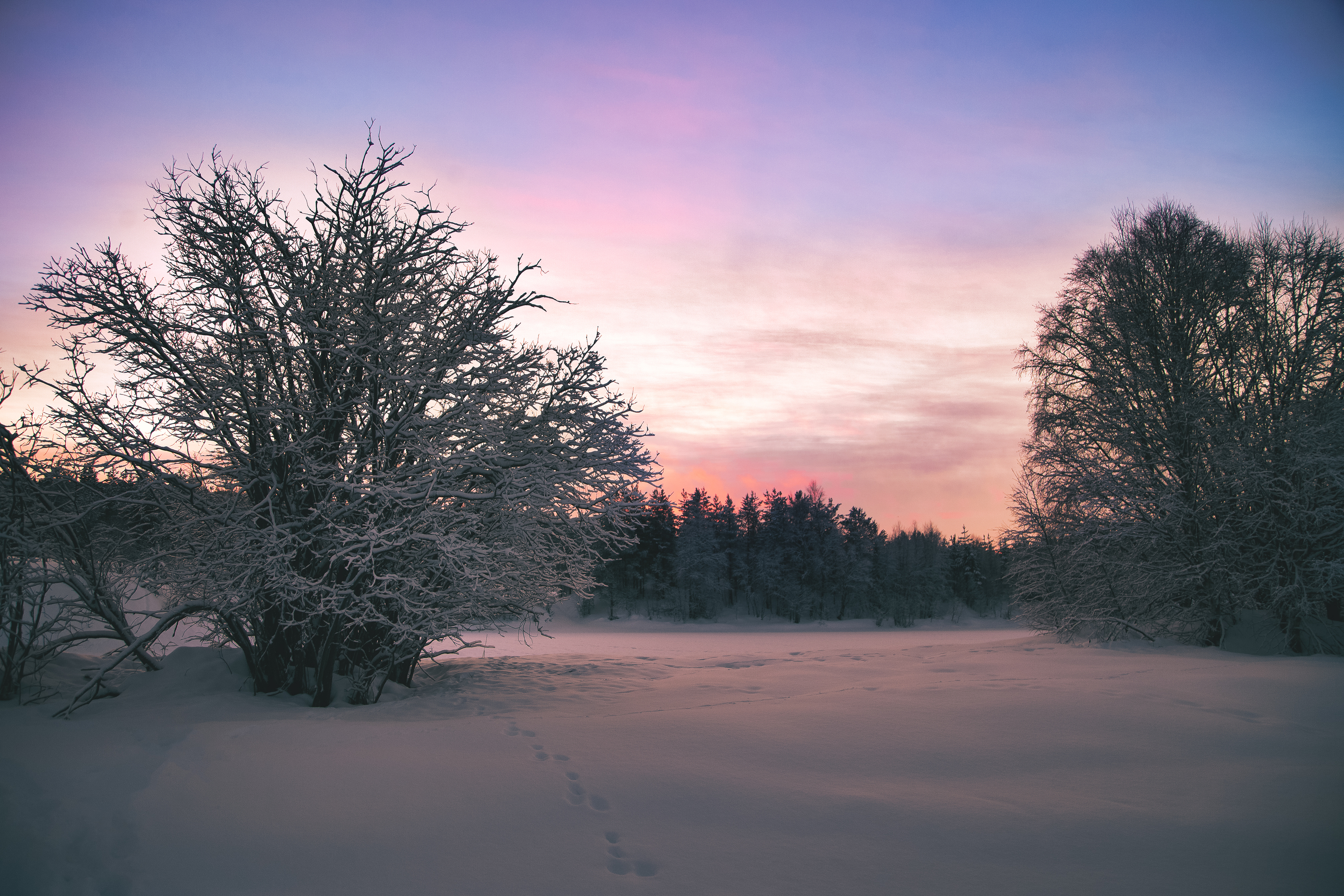 ковдор, мурманская область, фотограф покровский алексей, закат на реке нота, Покровский Алексей