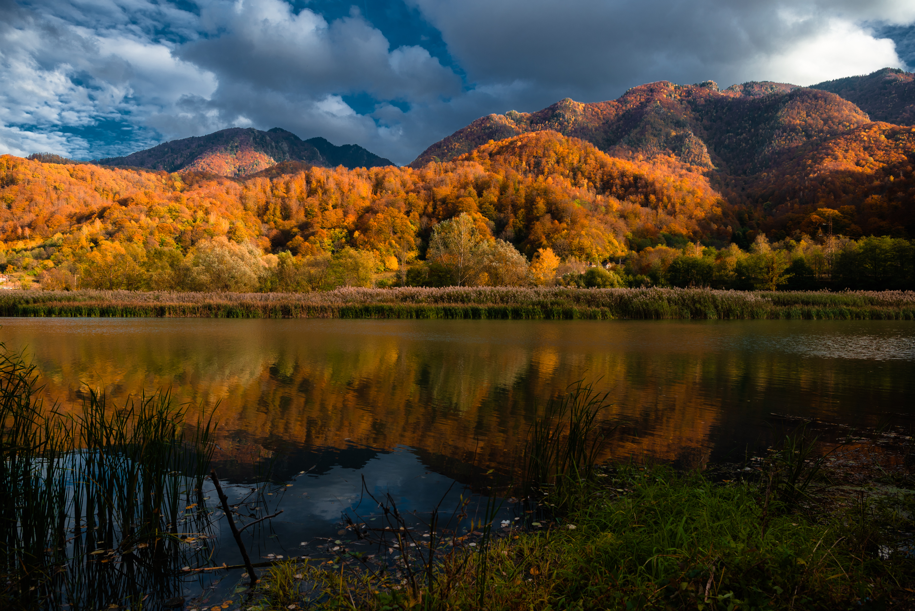 , Руслан Авдевич