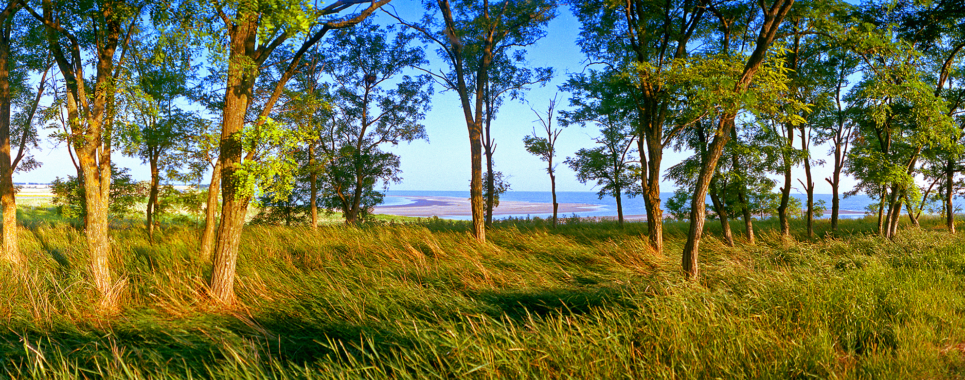 , Андрей Петросян