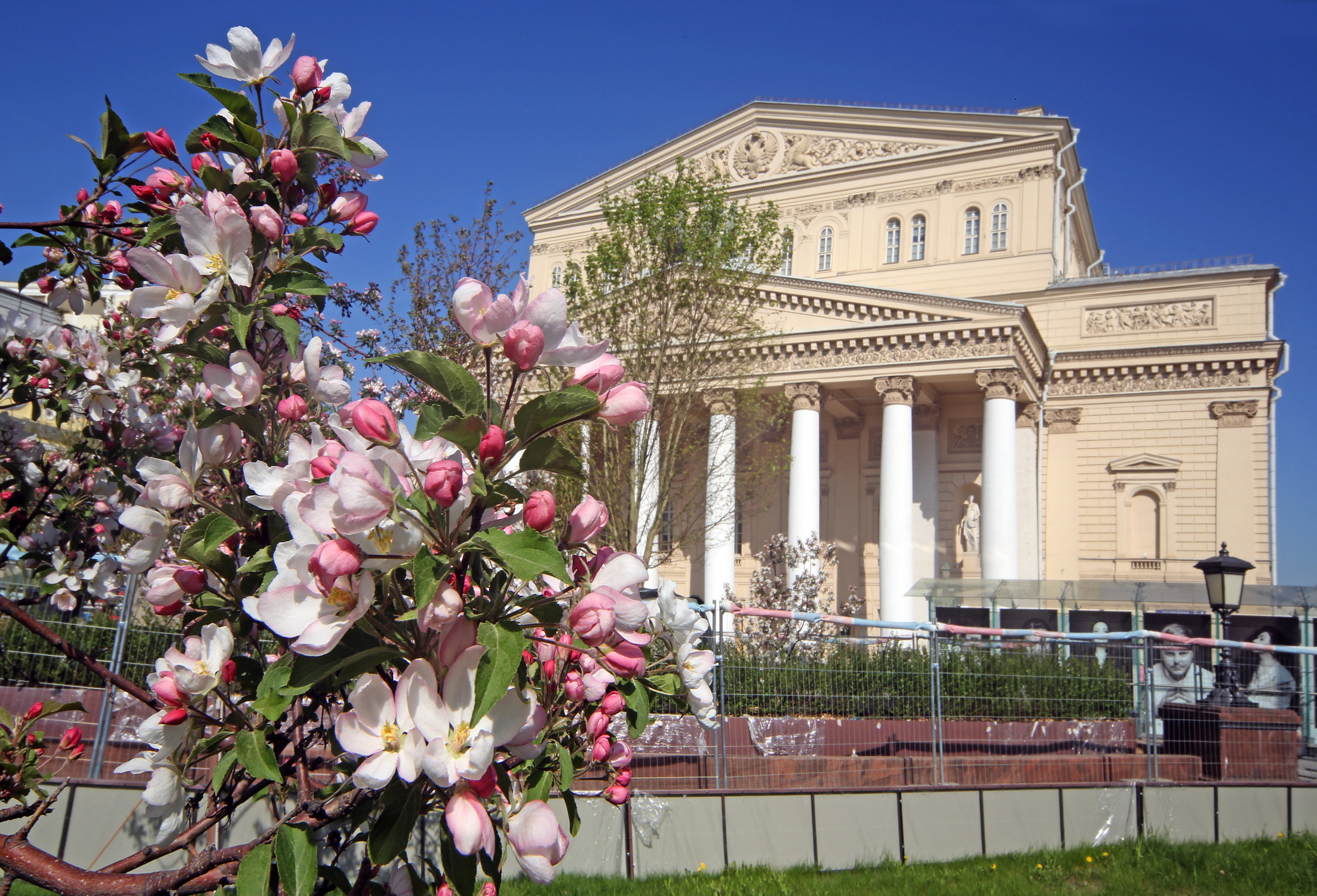 , Бибичков Михаил