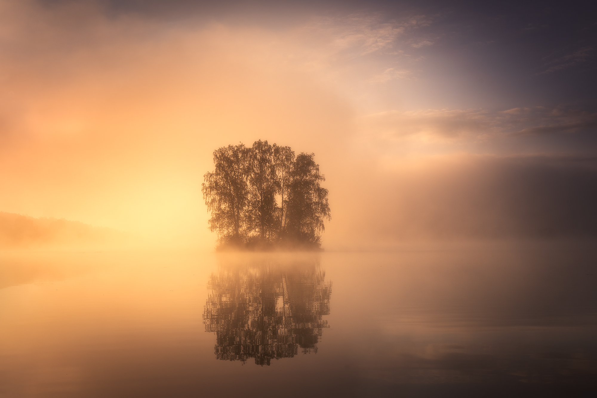 , Бирюкова Татьяна