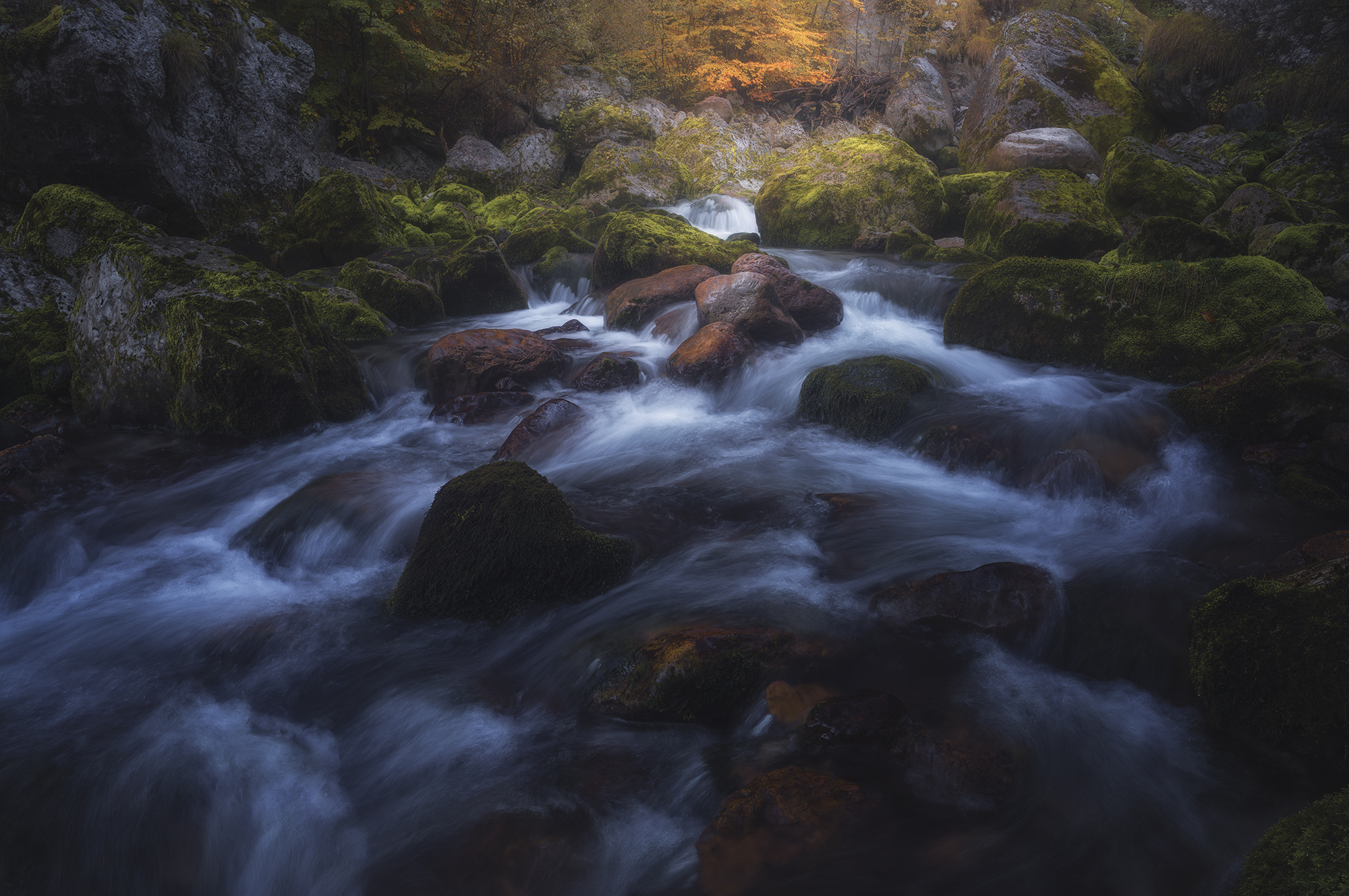 , de Franzoni Thomas