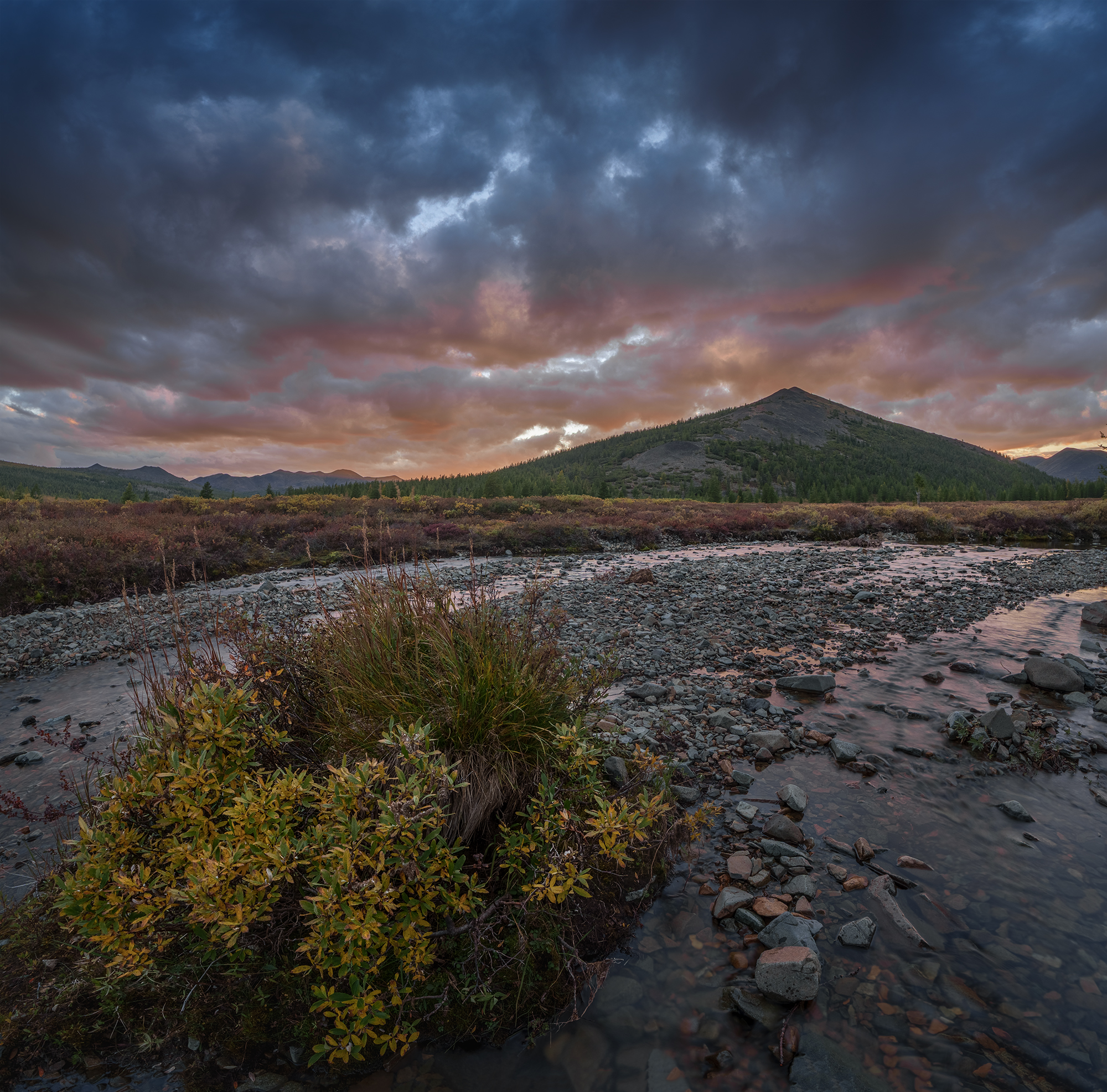 , Андреев Николай