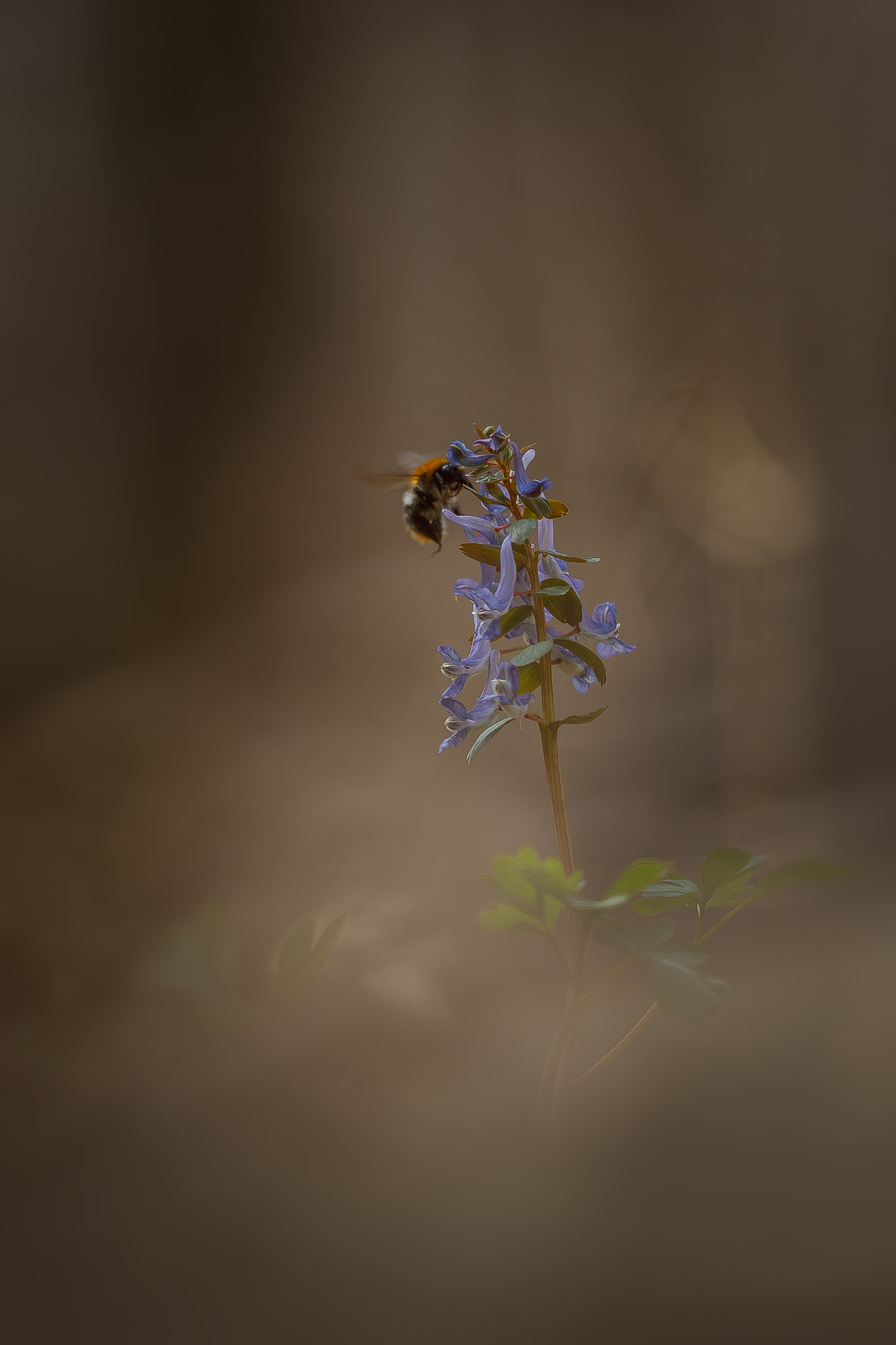 , Кузнецов Дмитрий