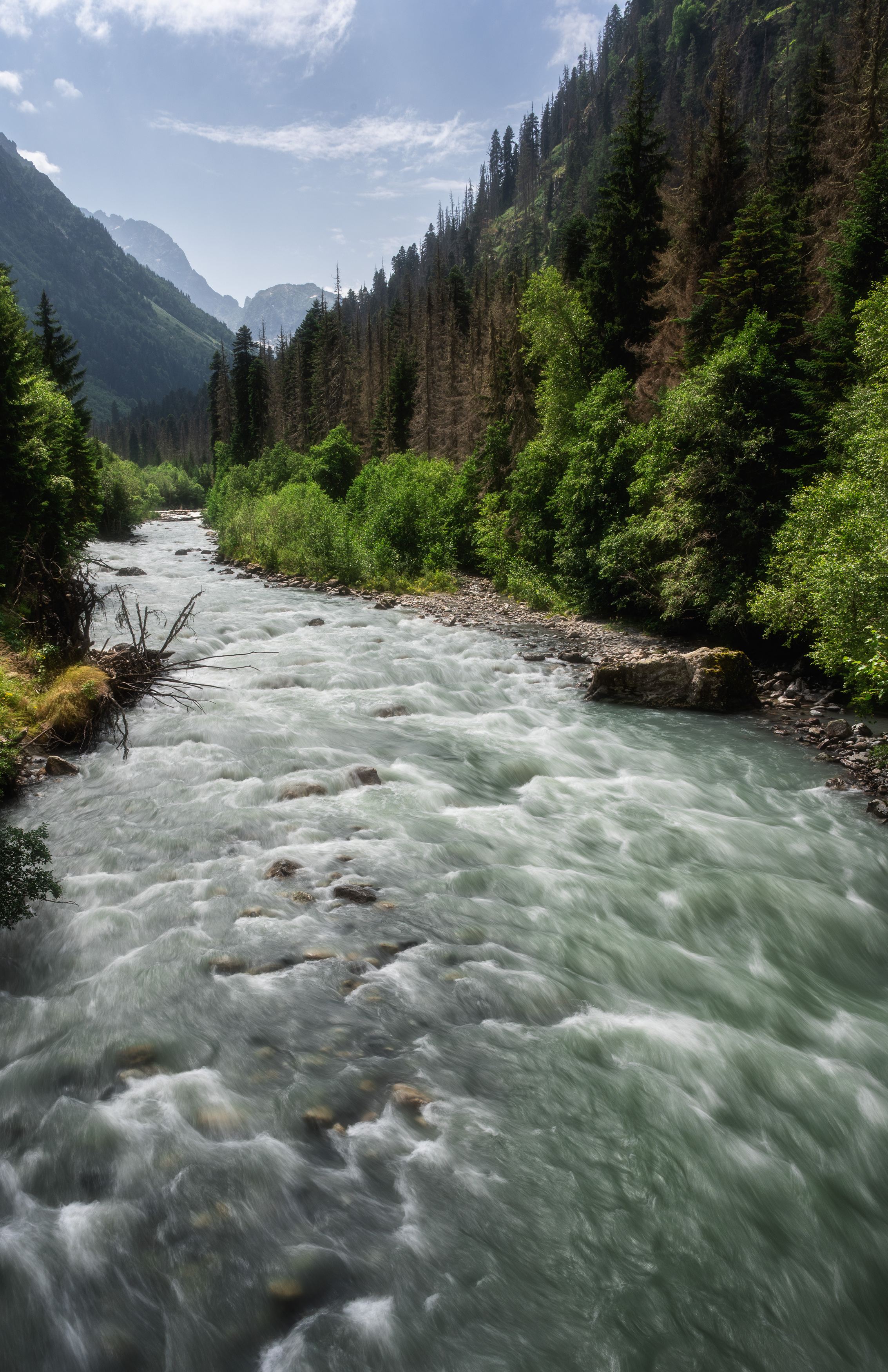 , Алексей Турчин
