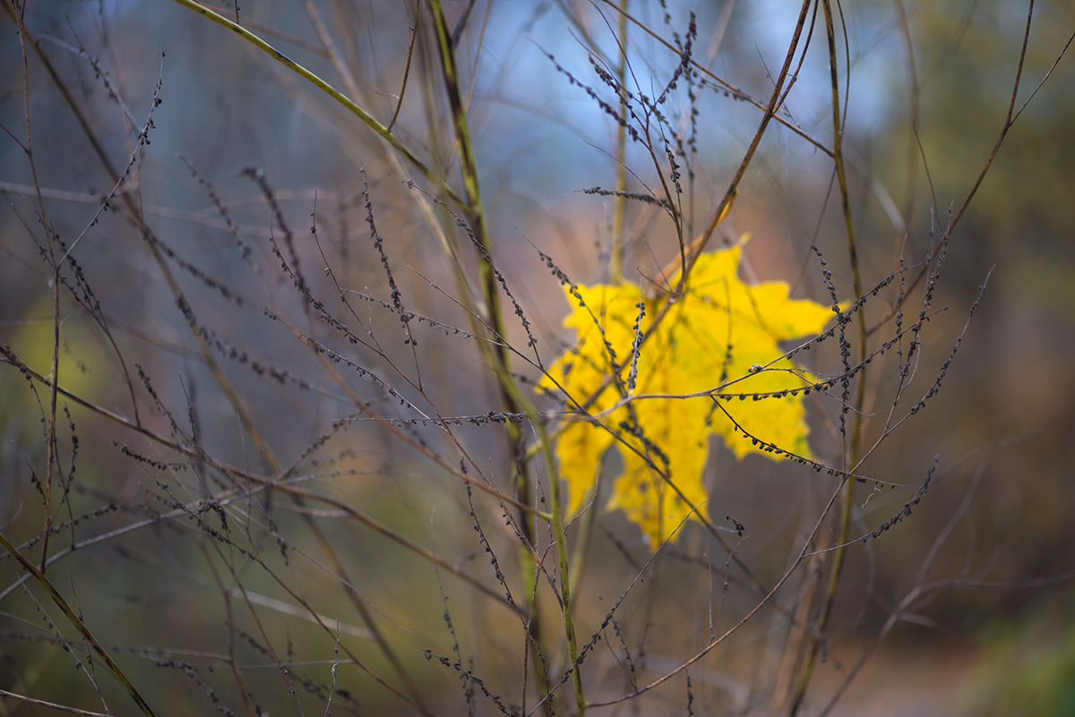 , Наиля Гарифуллина