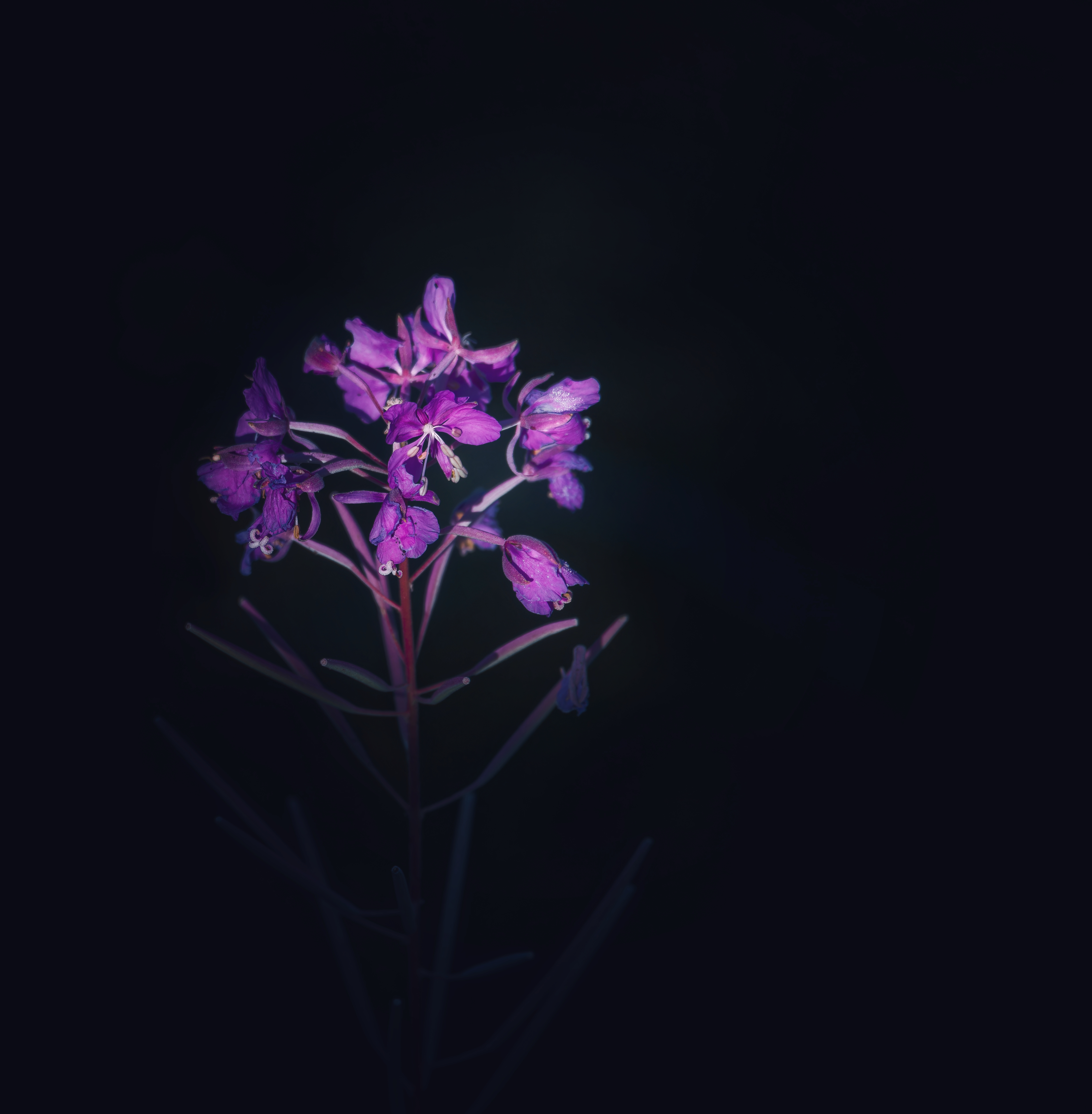 , Фото Александр