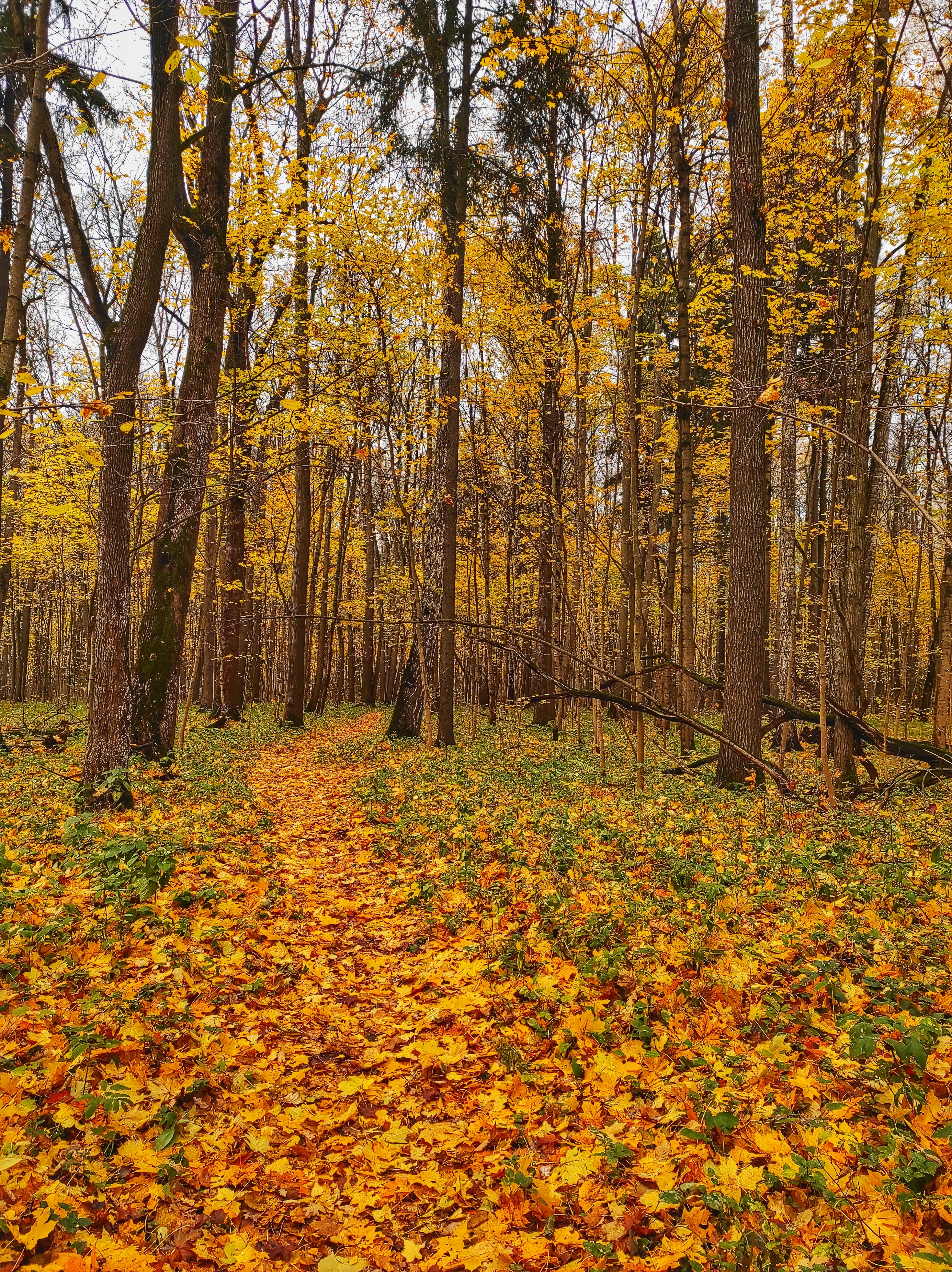 , Фото Александр