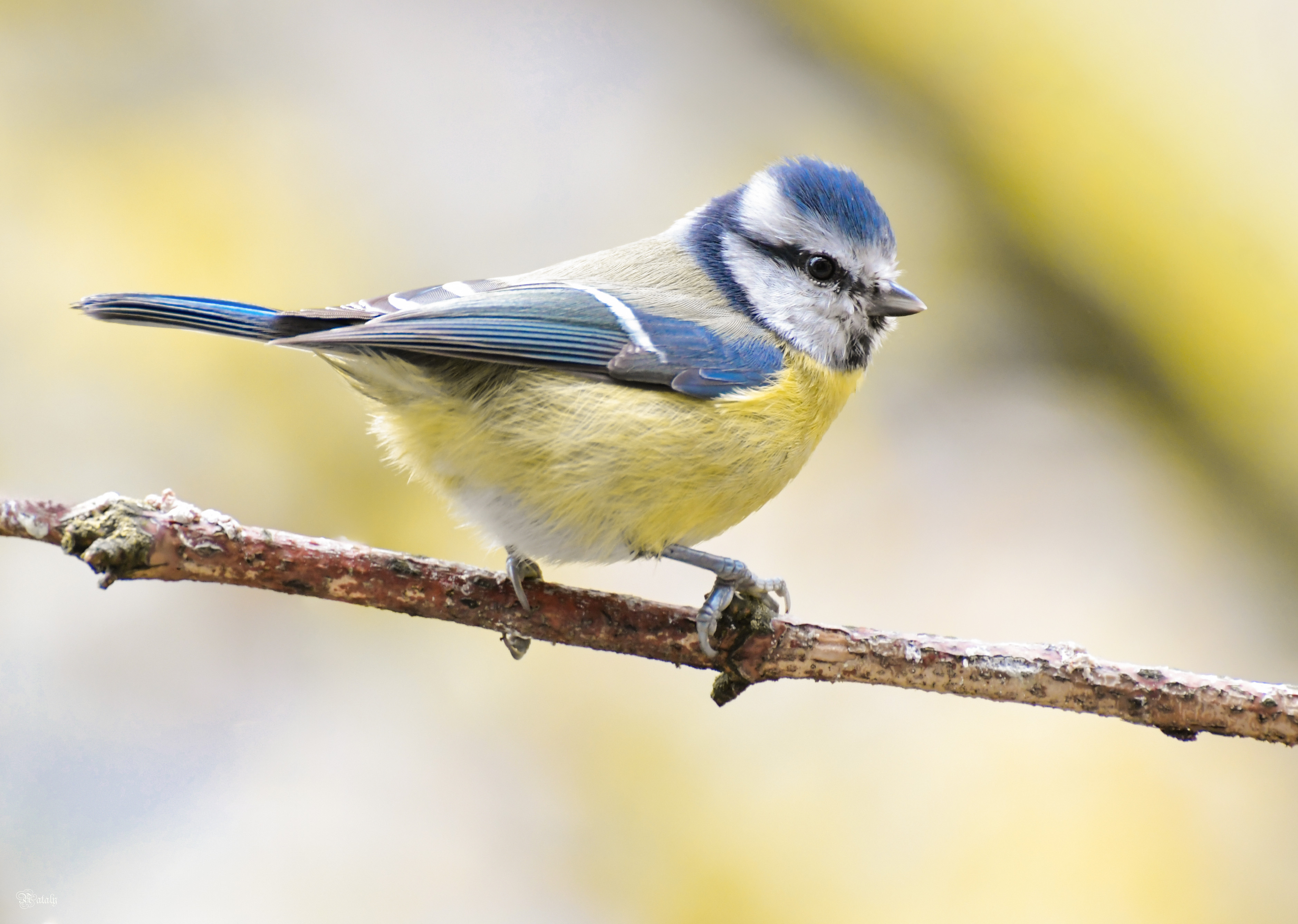 , Наталья Екимова