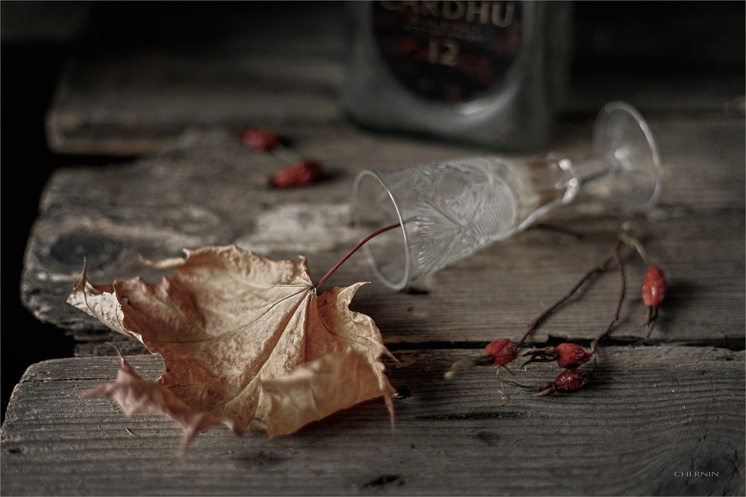 , Чернин Дмитрий