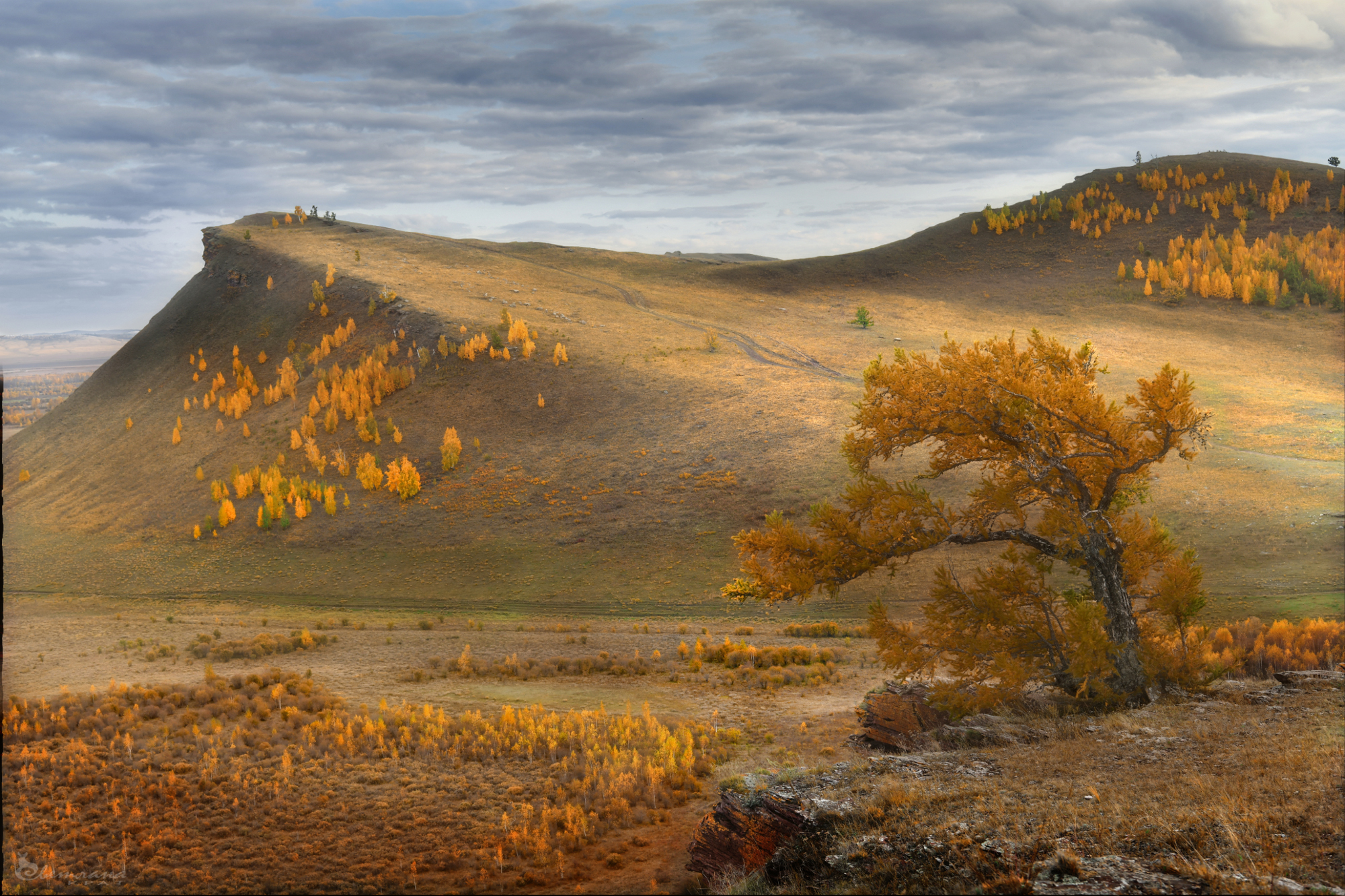 , Крат Светлана