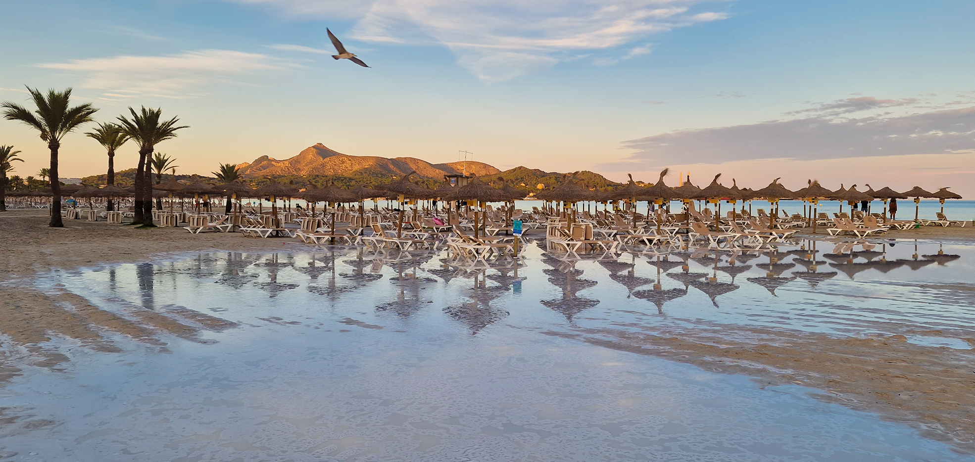 , Игорь Дубровский