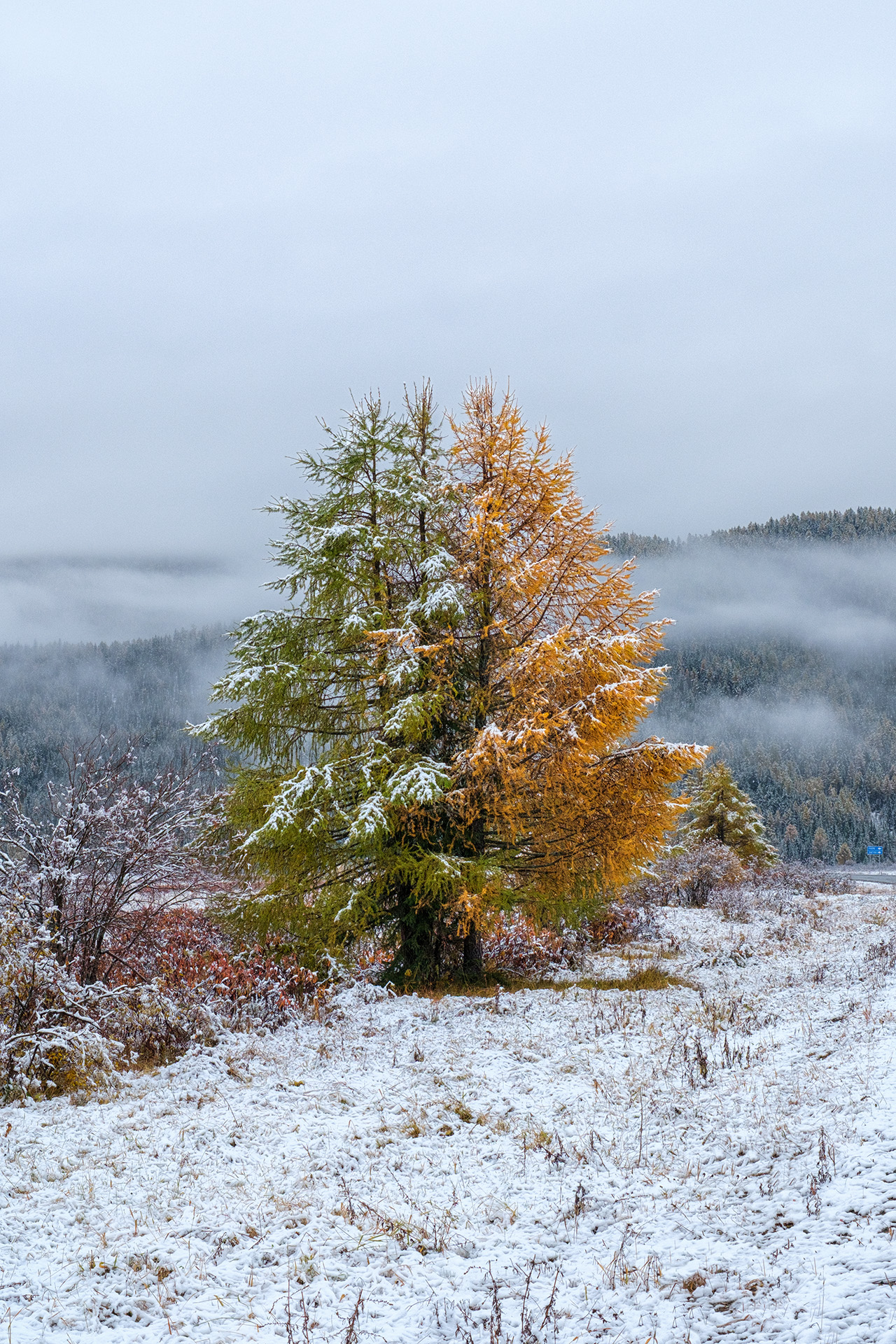 , Бодрягин Виталий