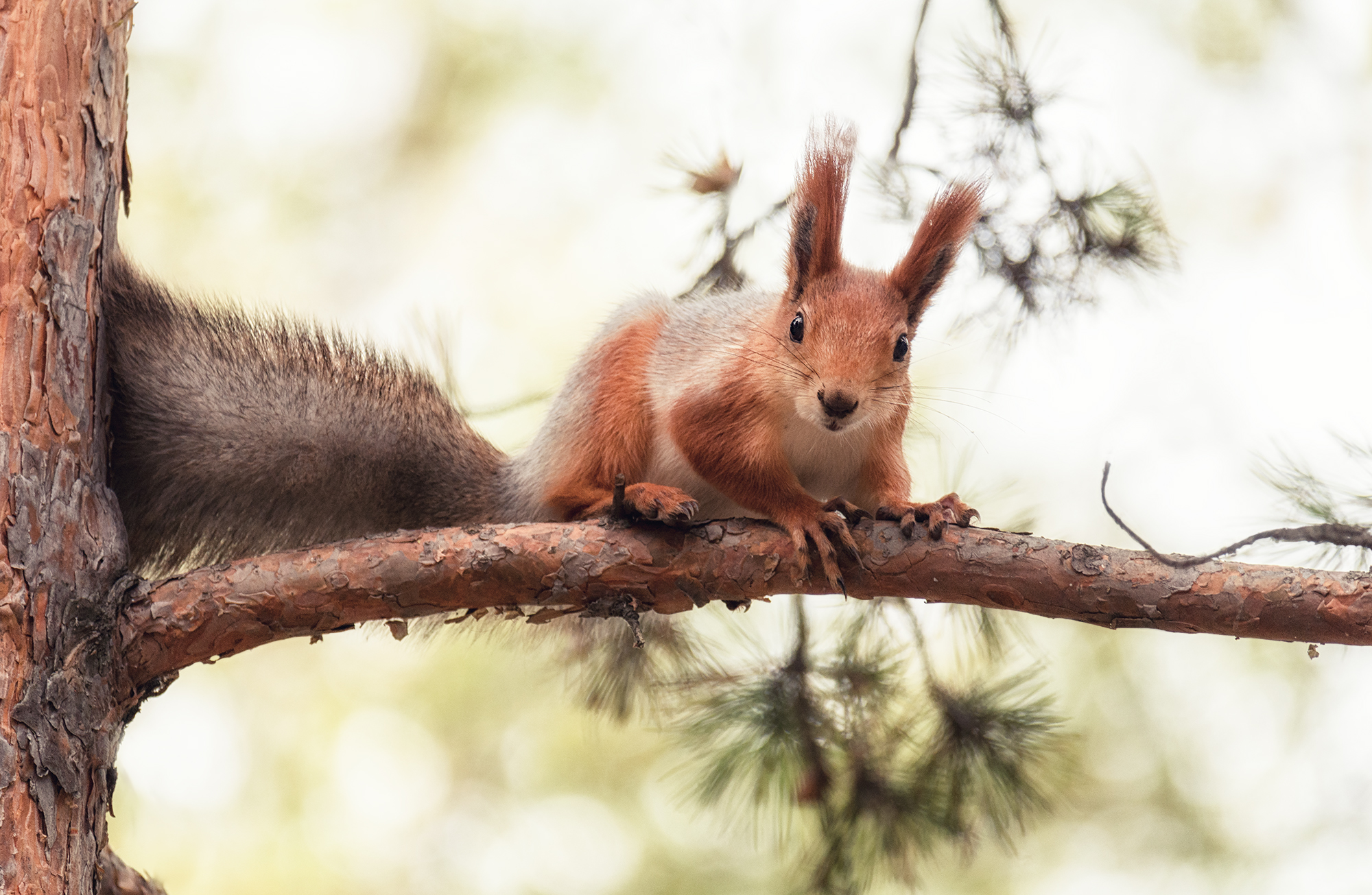 , Мочалова Марина