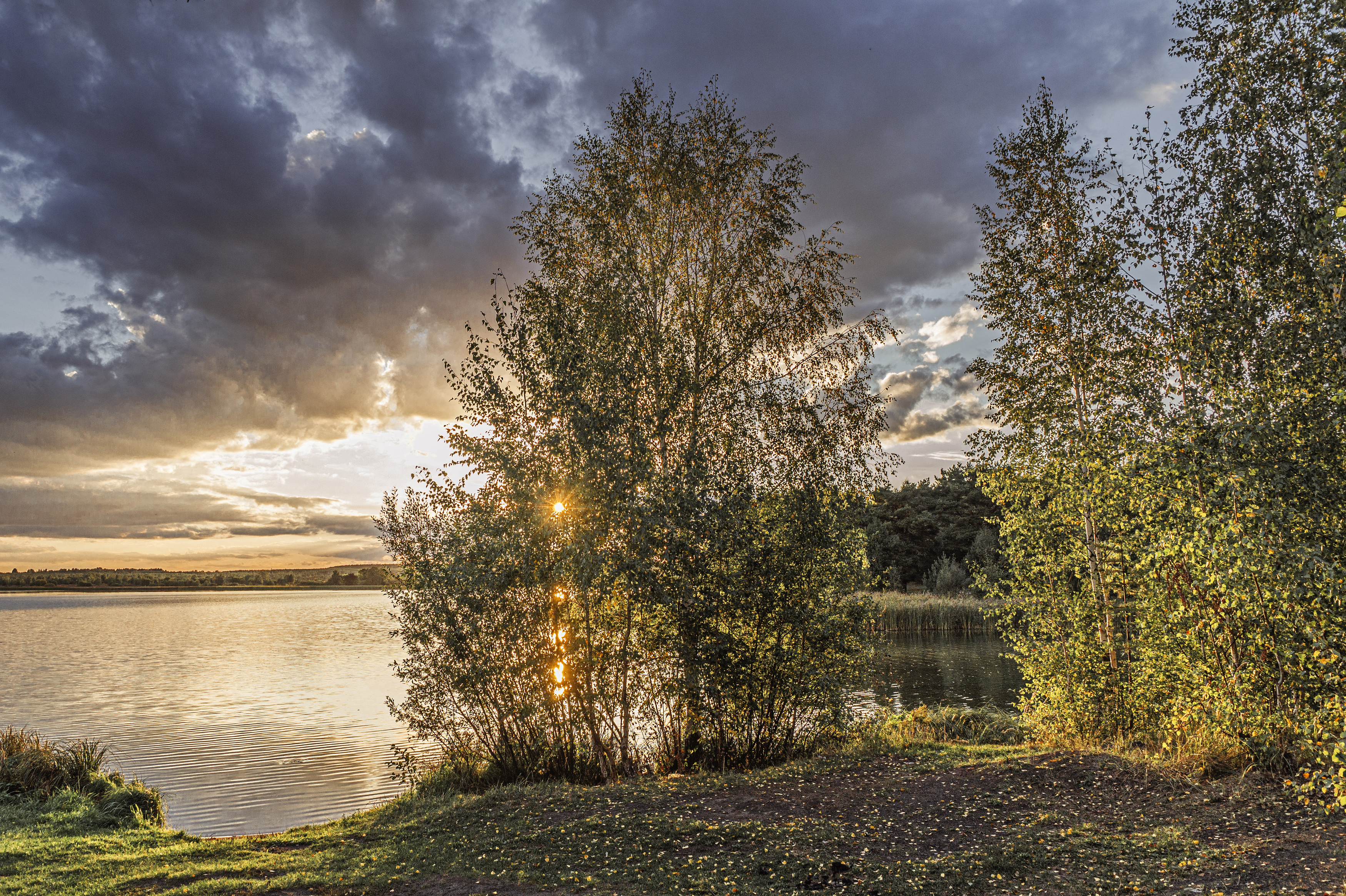 , Шитов Александр