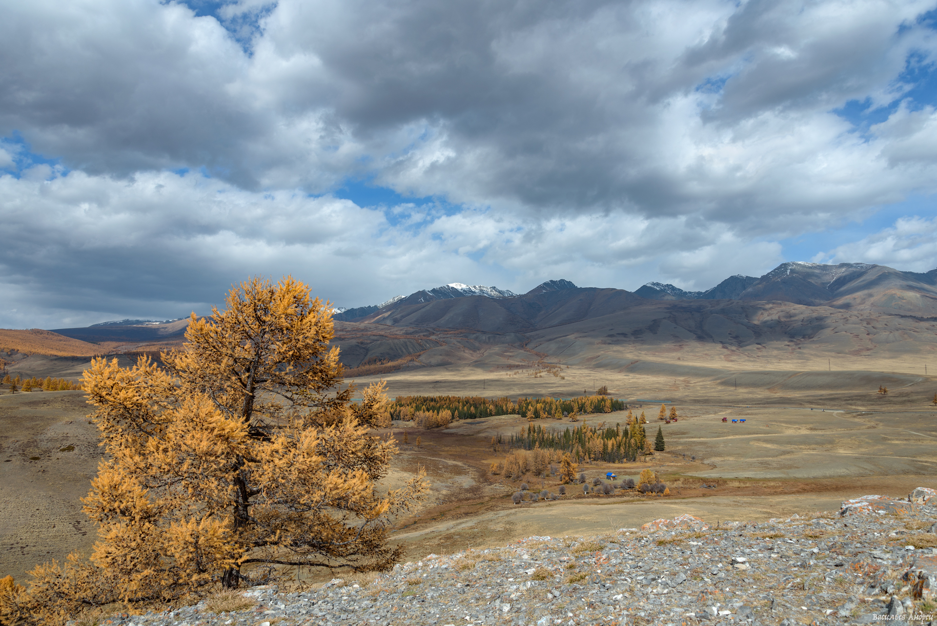 алтай, горный алтай, курай, природа, осень, золотая осень, Vasilyev Andrey