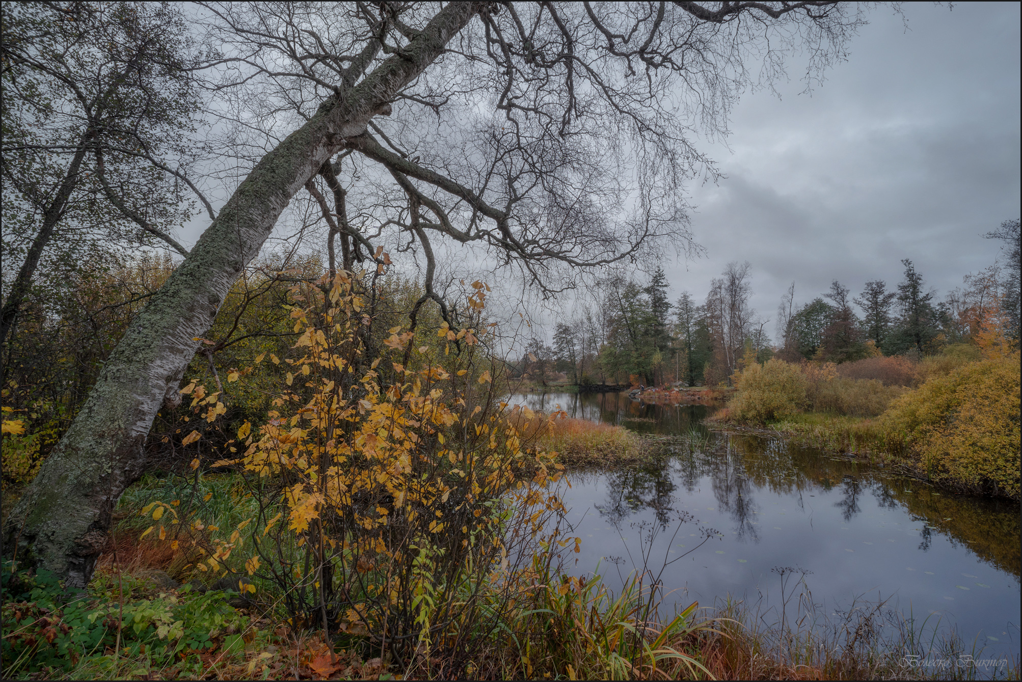 , Болеско Виктор