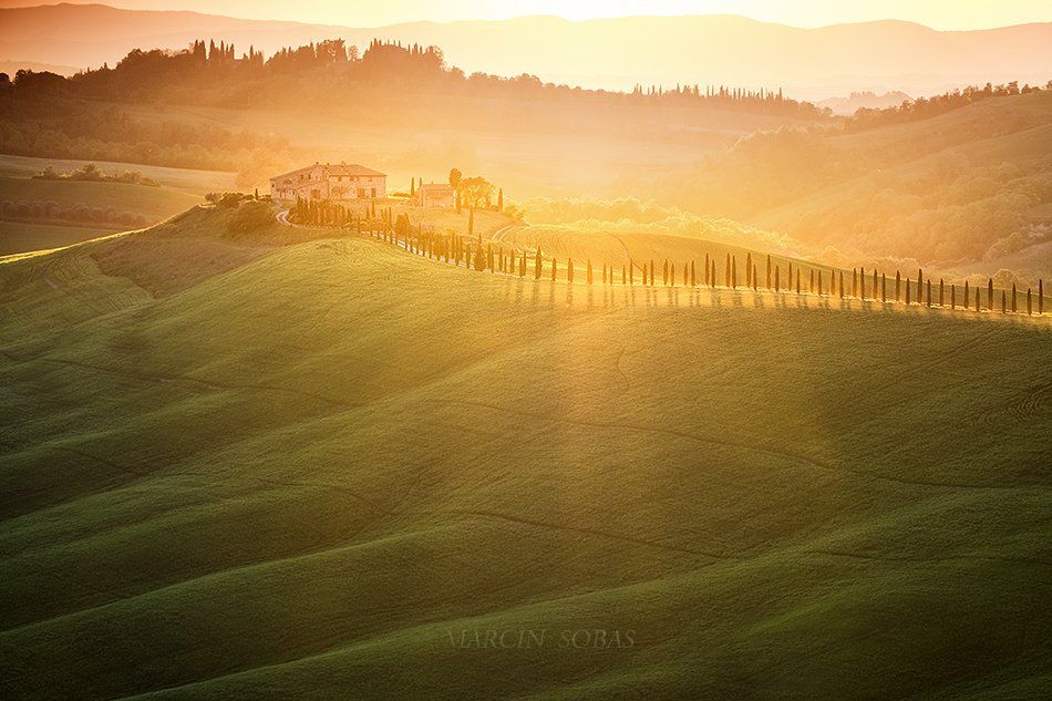 , Marcin Sobas