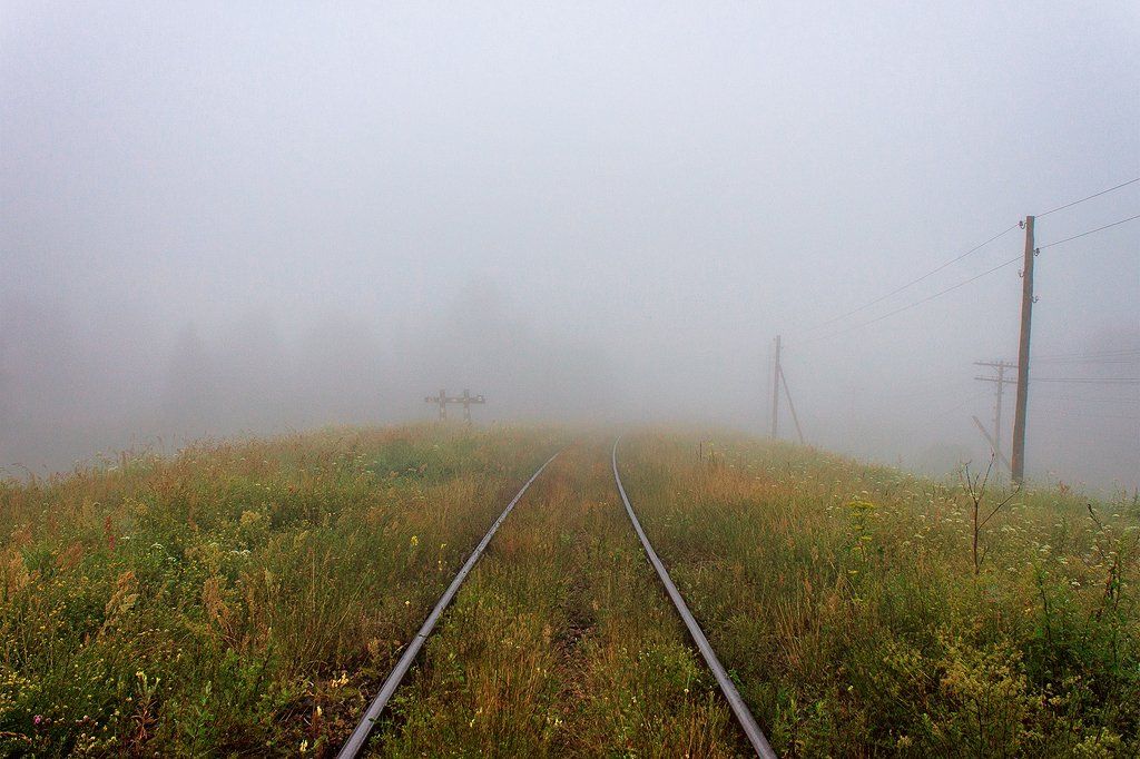железная дорога, утро, лето, туман, тверская область, пено, Денис Доронин