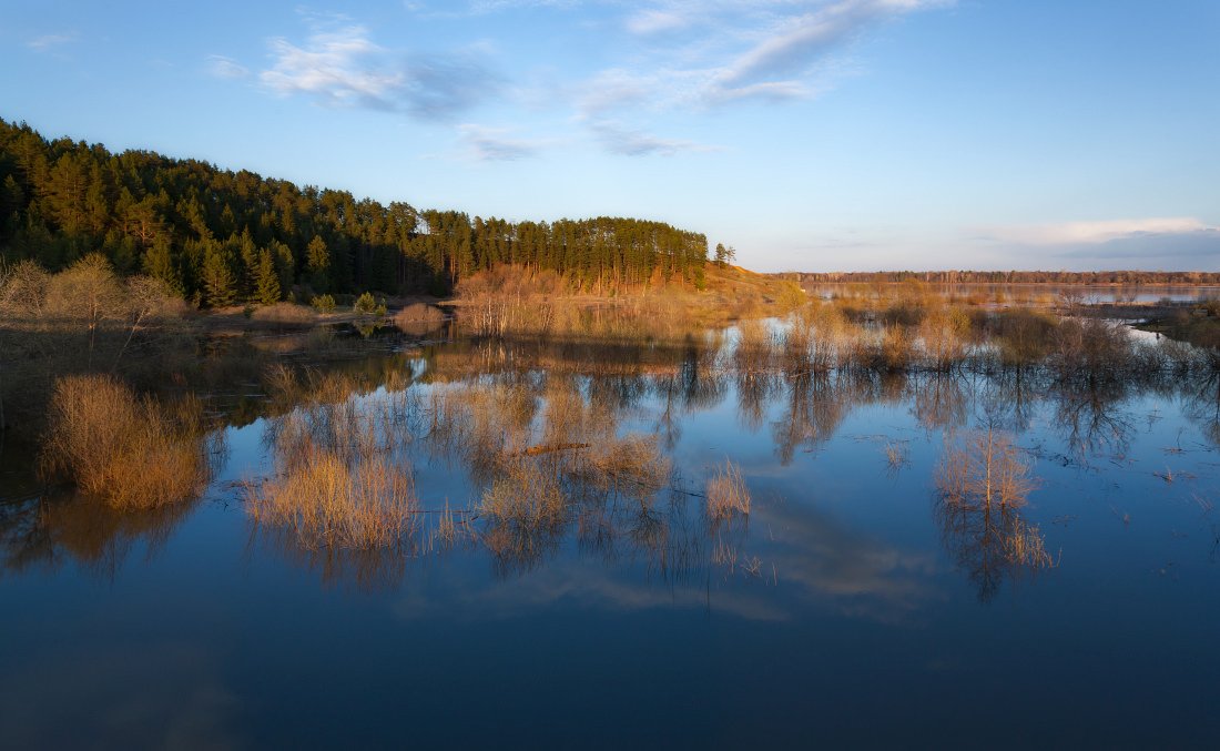 Речка вода лес деревья отражения вечер весна, Георгий Машковцев