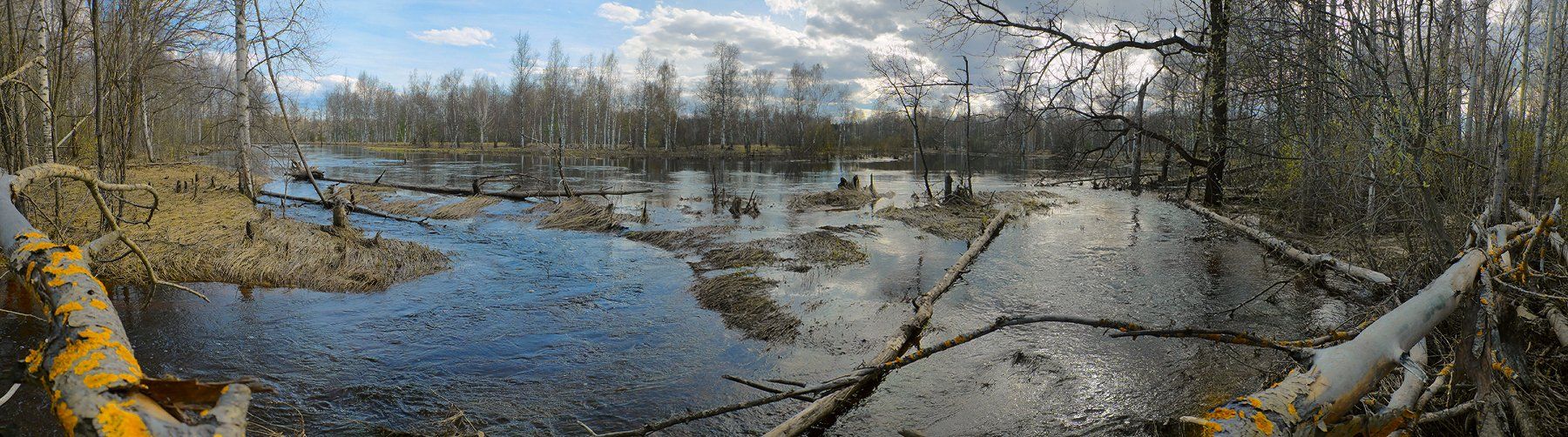 половодье, весна, река, большая вода, мещёра, рязанская область, Валерий Пешков