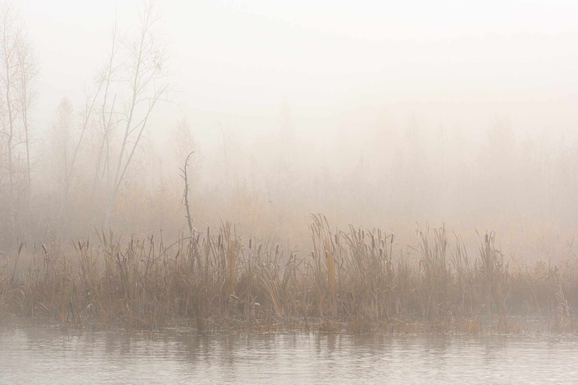пейзаж, озеро, туман, утро, осень, Евгений Гецев