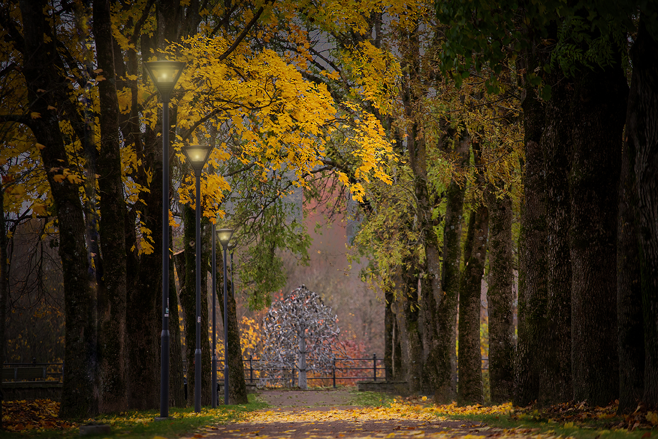 нарва осень октябрь аллея, Четвертной Сергей