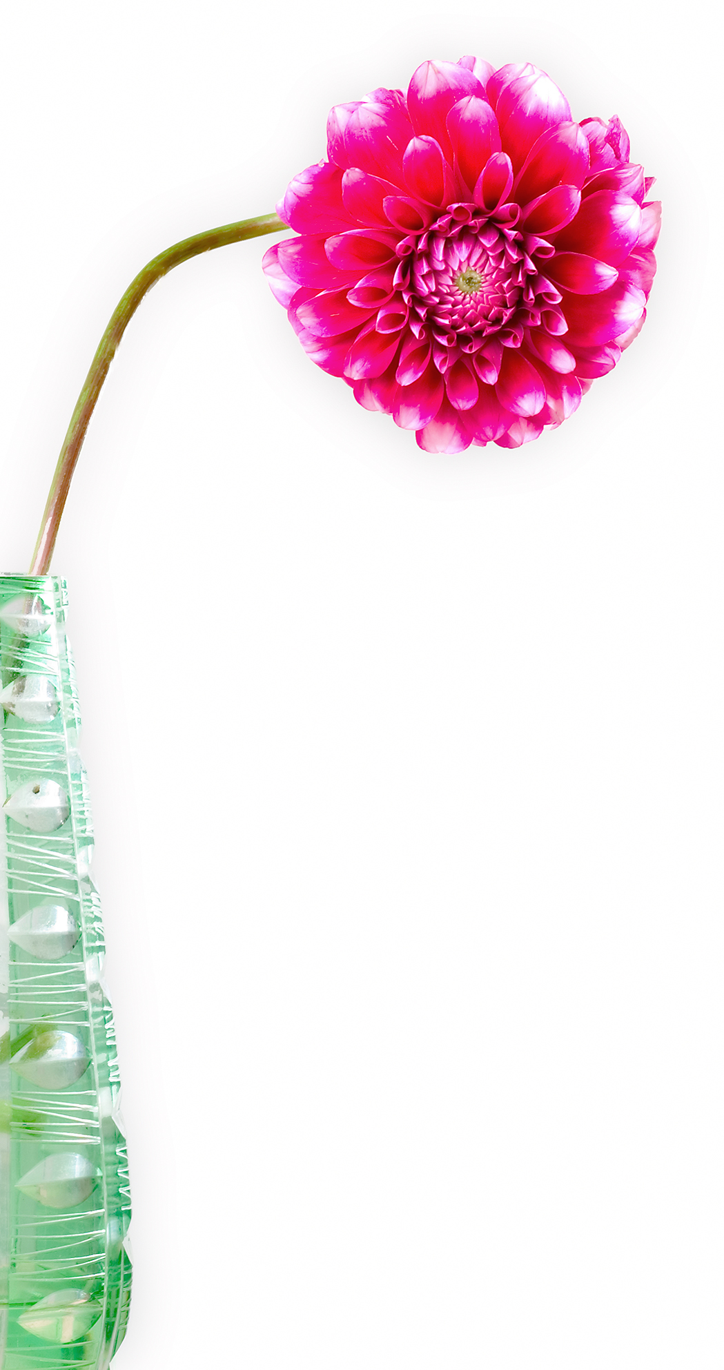 , Андрей Петросян