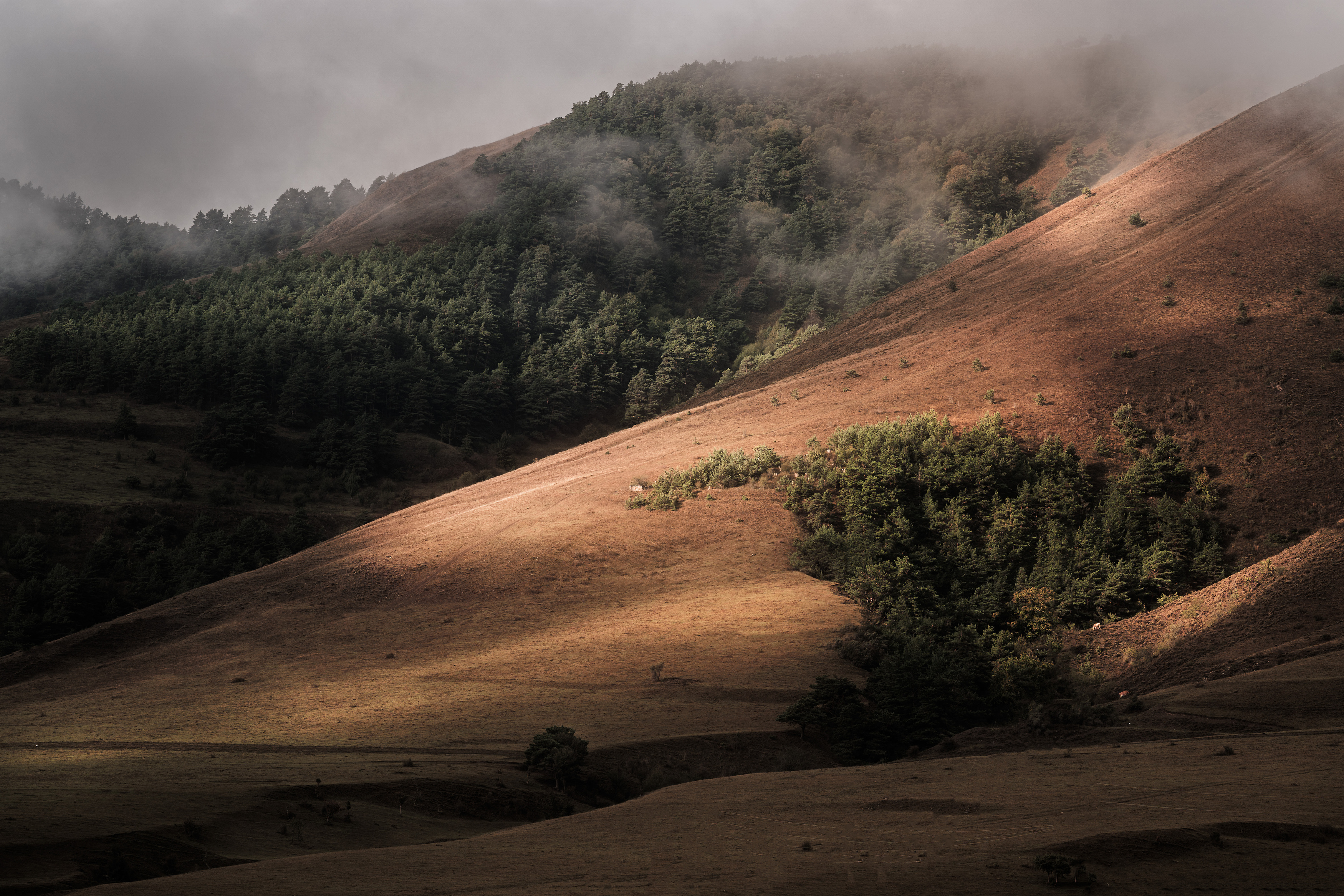 landscape, caucasus, mountines, ингушетия, пейзаж, горы, кавказ, Ilya Tolstonozhenko