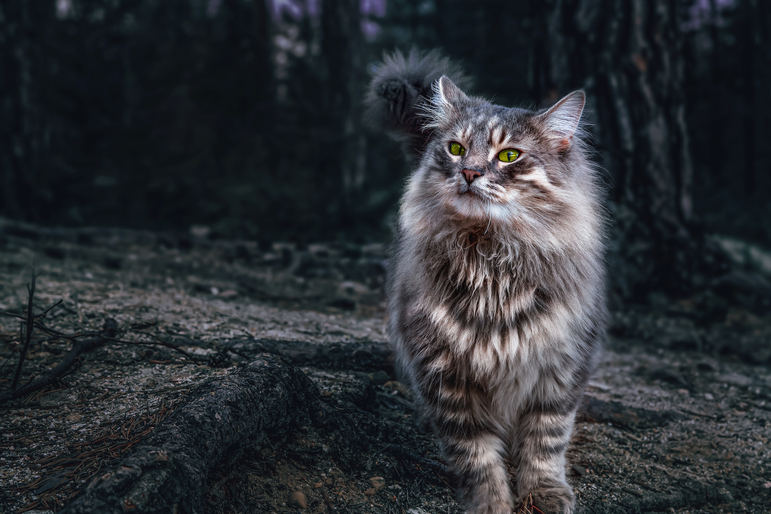 ковдор, мурманская область, фотограф покровский алексей, Покровский Алексей