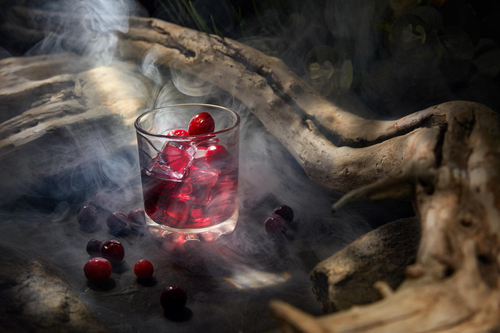 , Герц Дмитрий