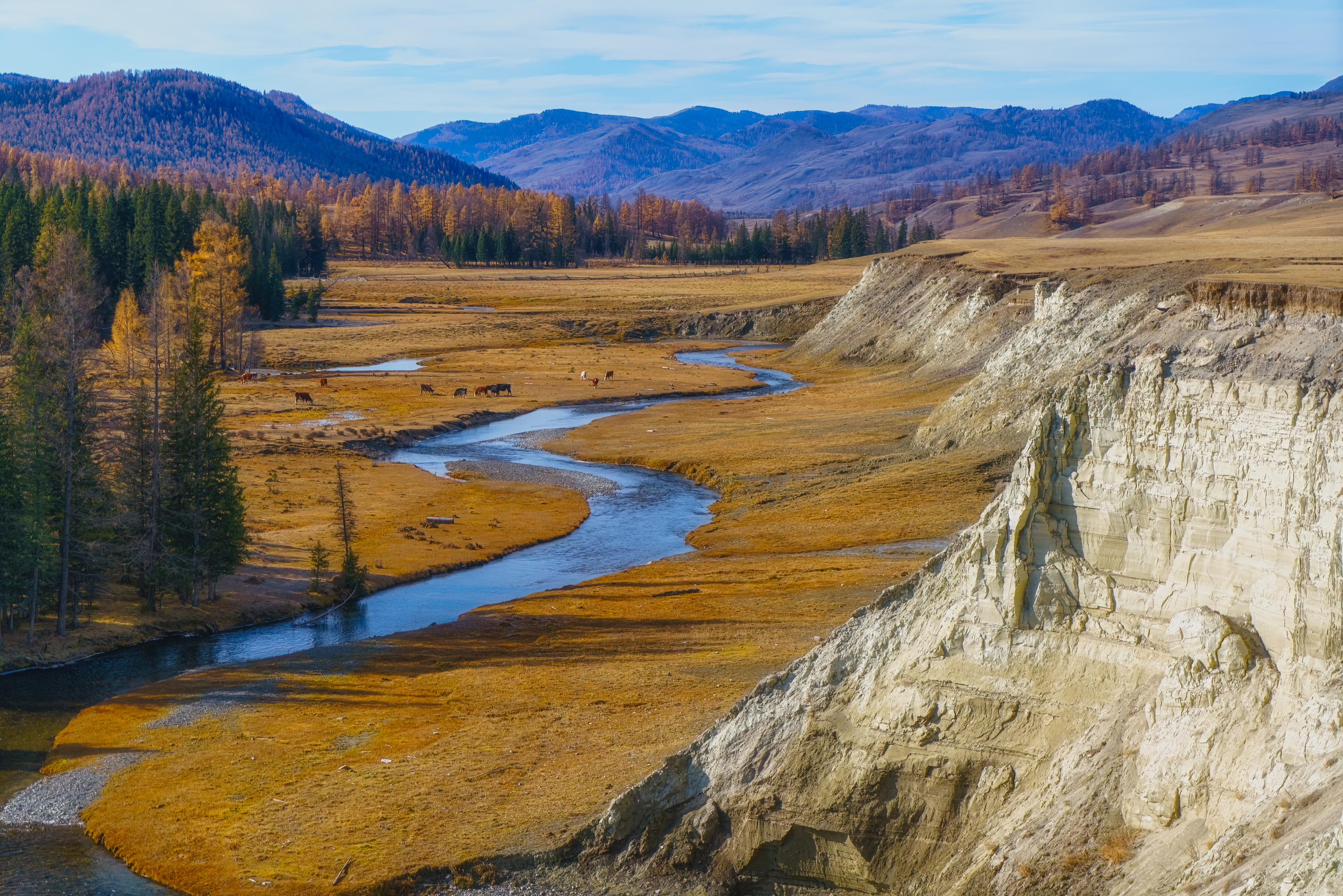 , Шварцман Евгений
