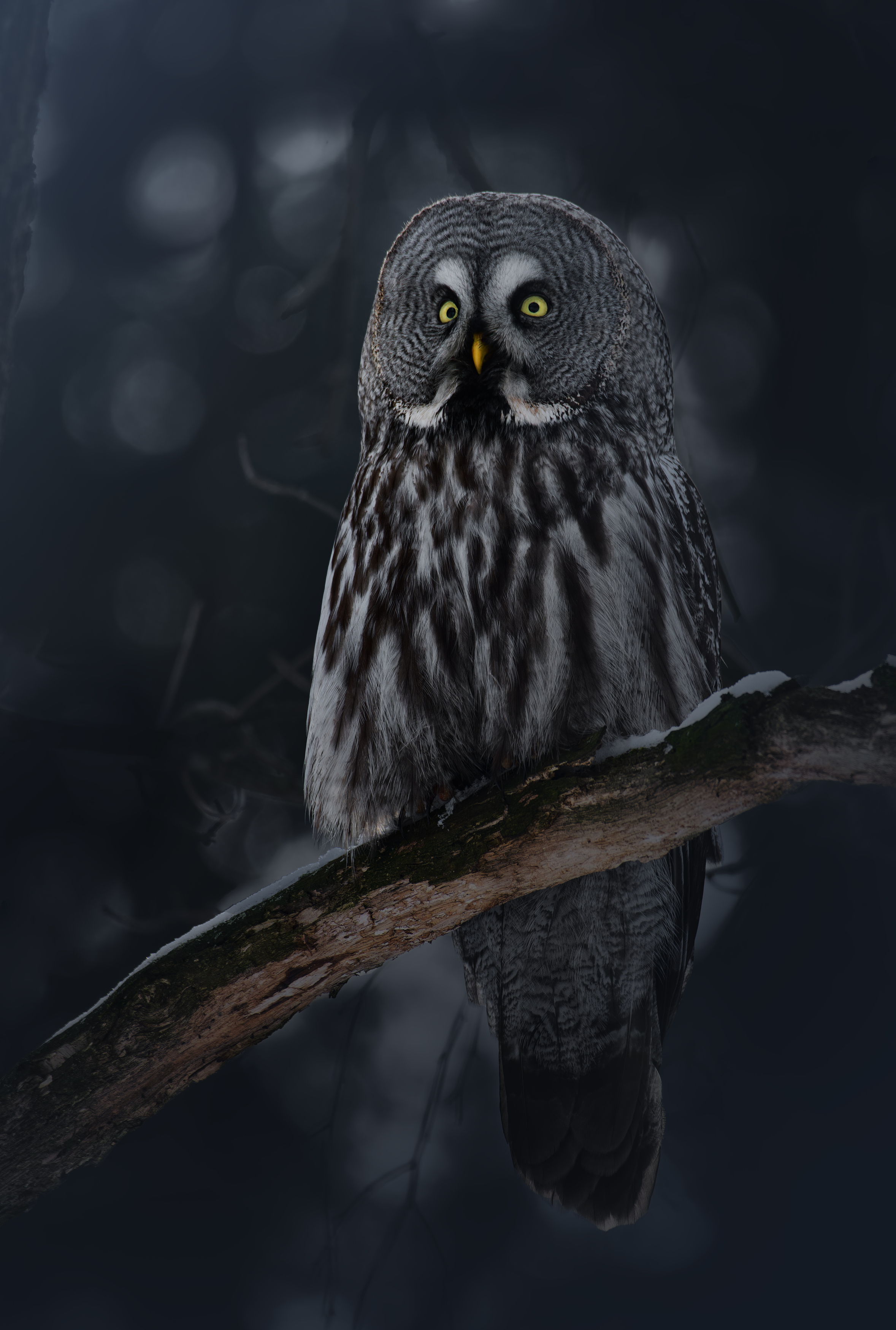 , Фото Александр