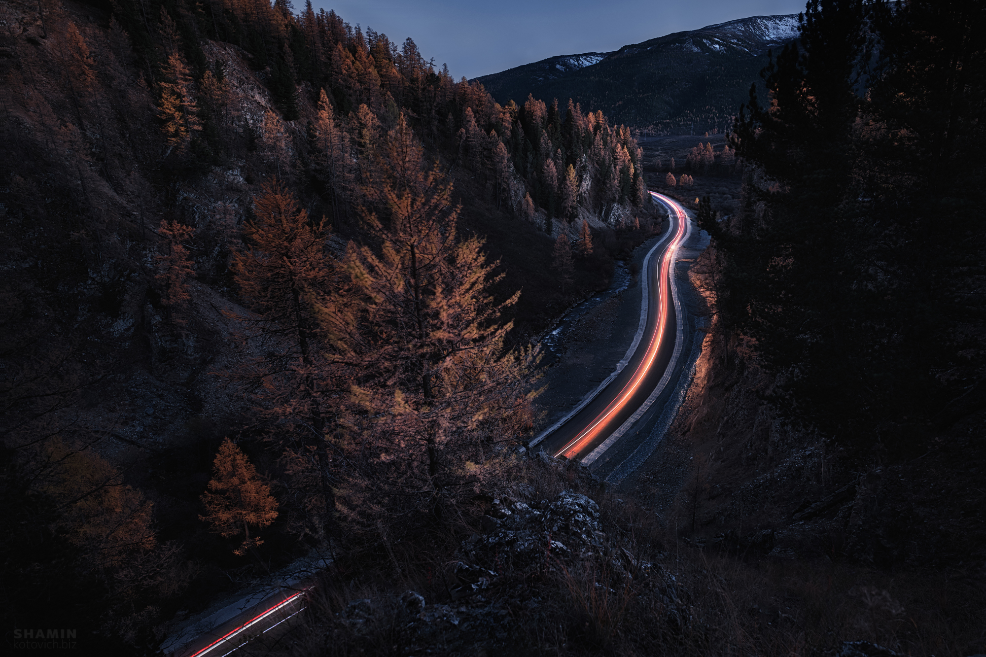 , Константин Шамин