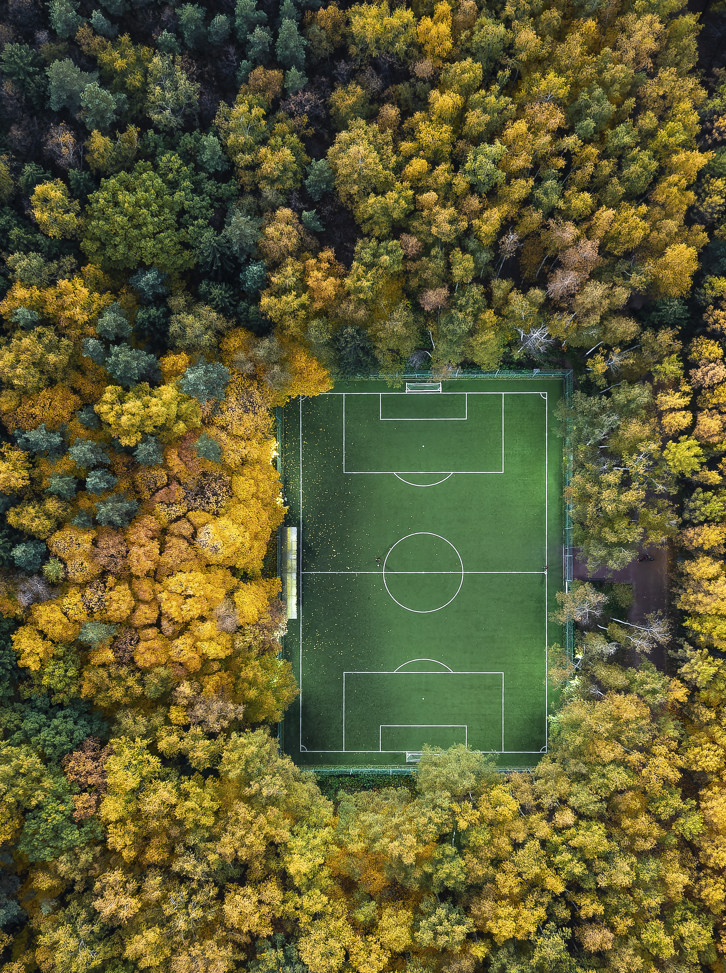 мещерский парк, осень, золотая осень, подмосковье, аэросъемка, топчанун, дронофотография, вид сверху, Игорь Юркин