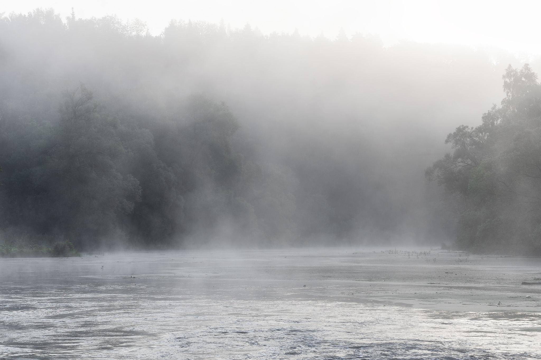 , Загруев Михаил