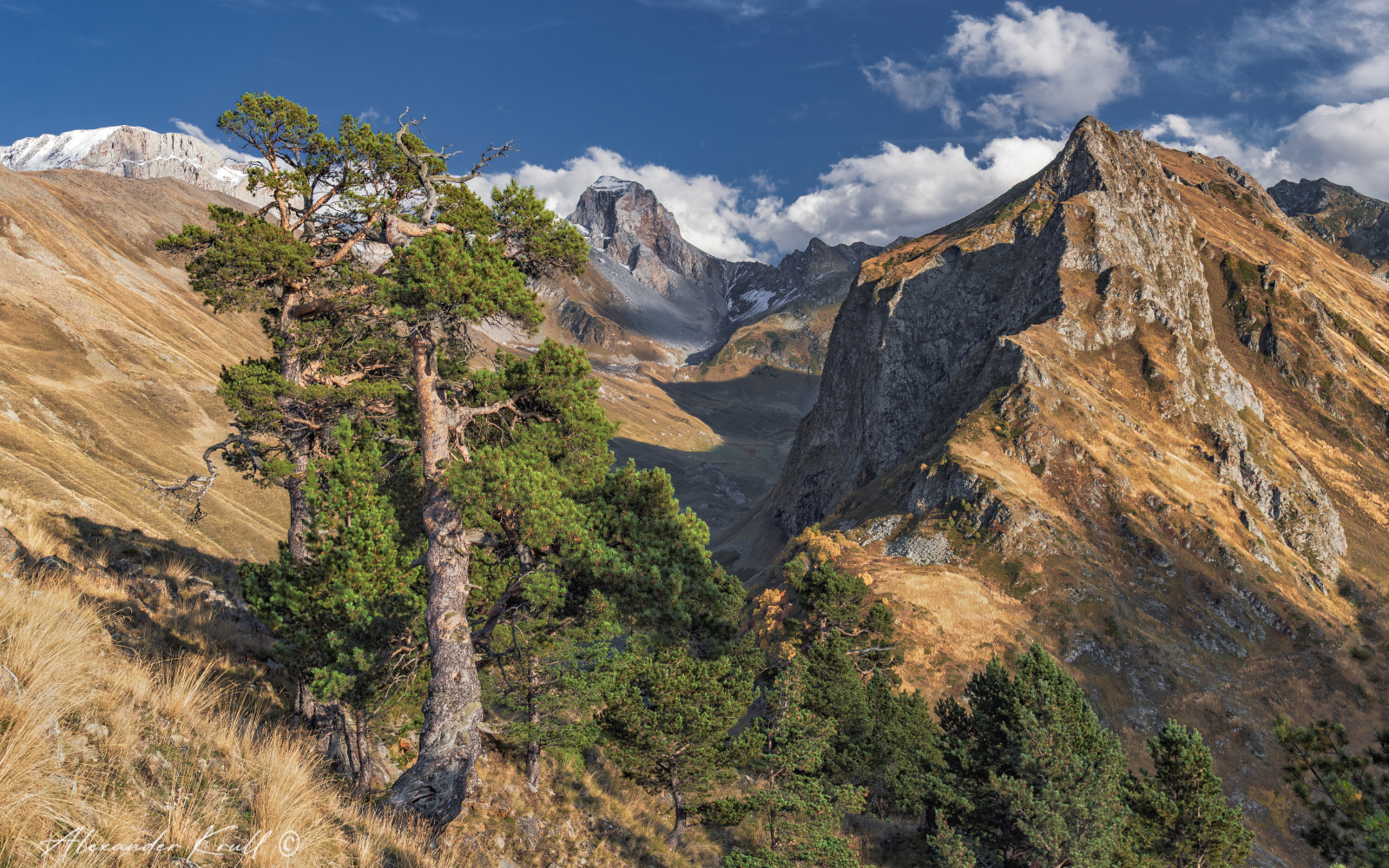 кчр, горы, сосны, шхуанта, осень, Круль Александр