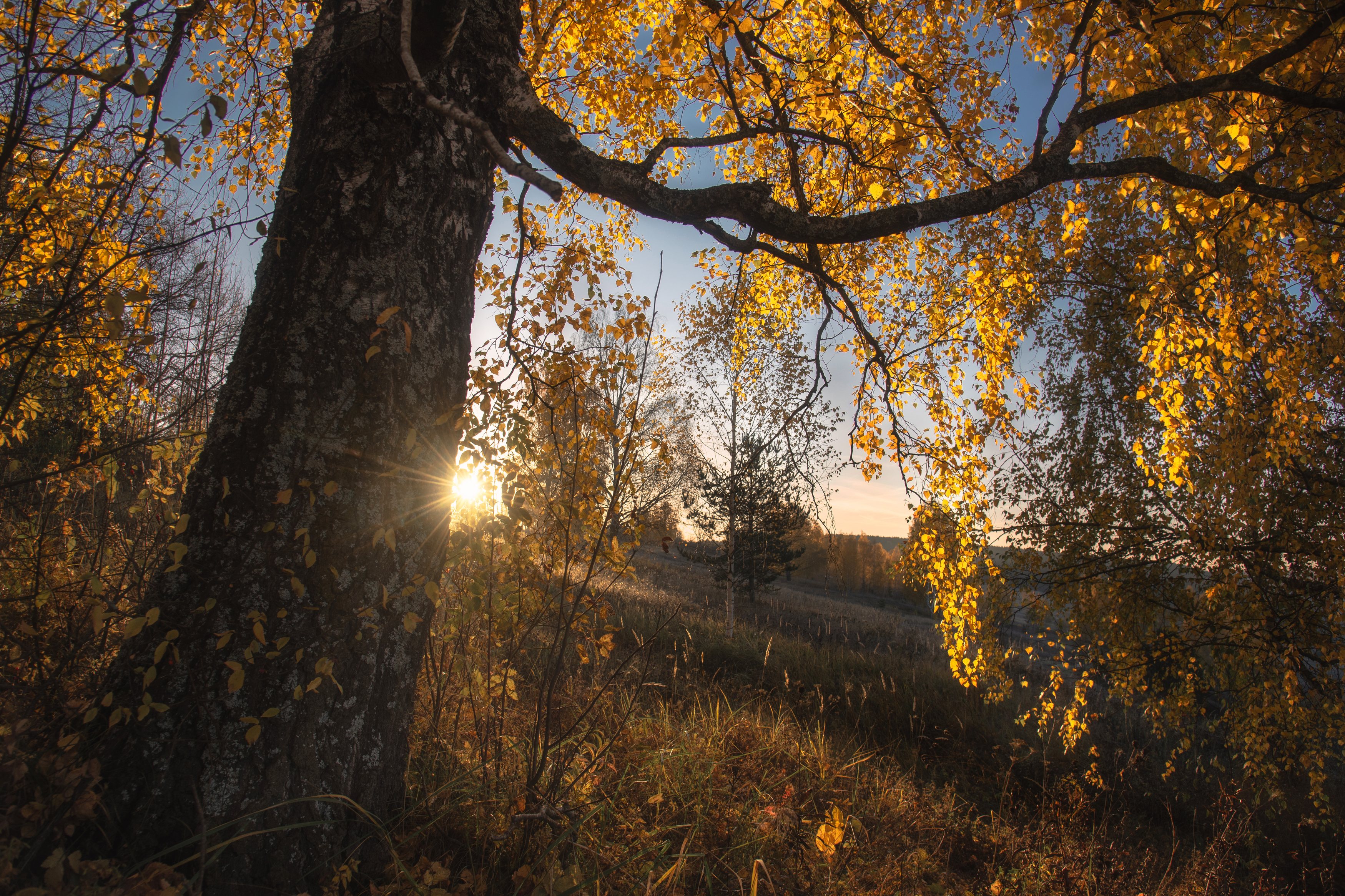 осень, рассвет, сентябрь, Андрей Малыгин