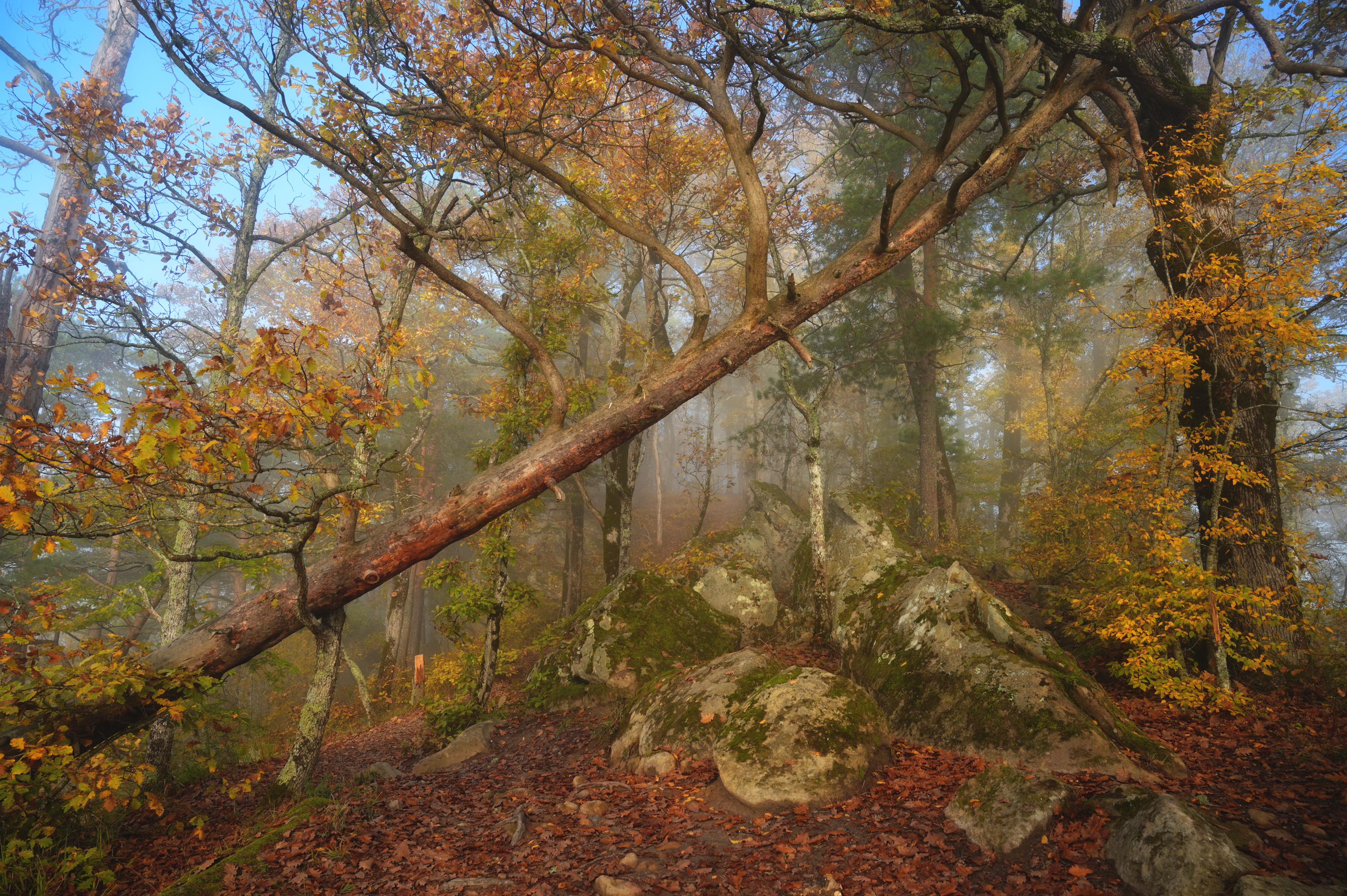 , Сергей Тихомиров
