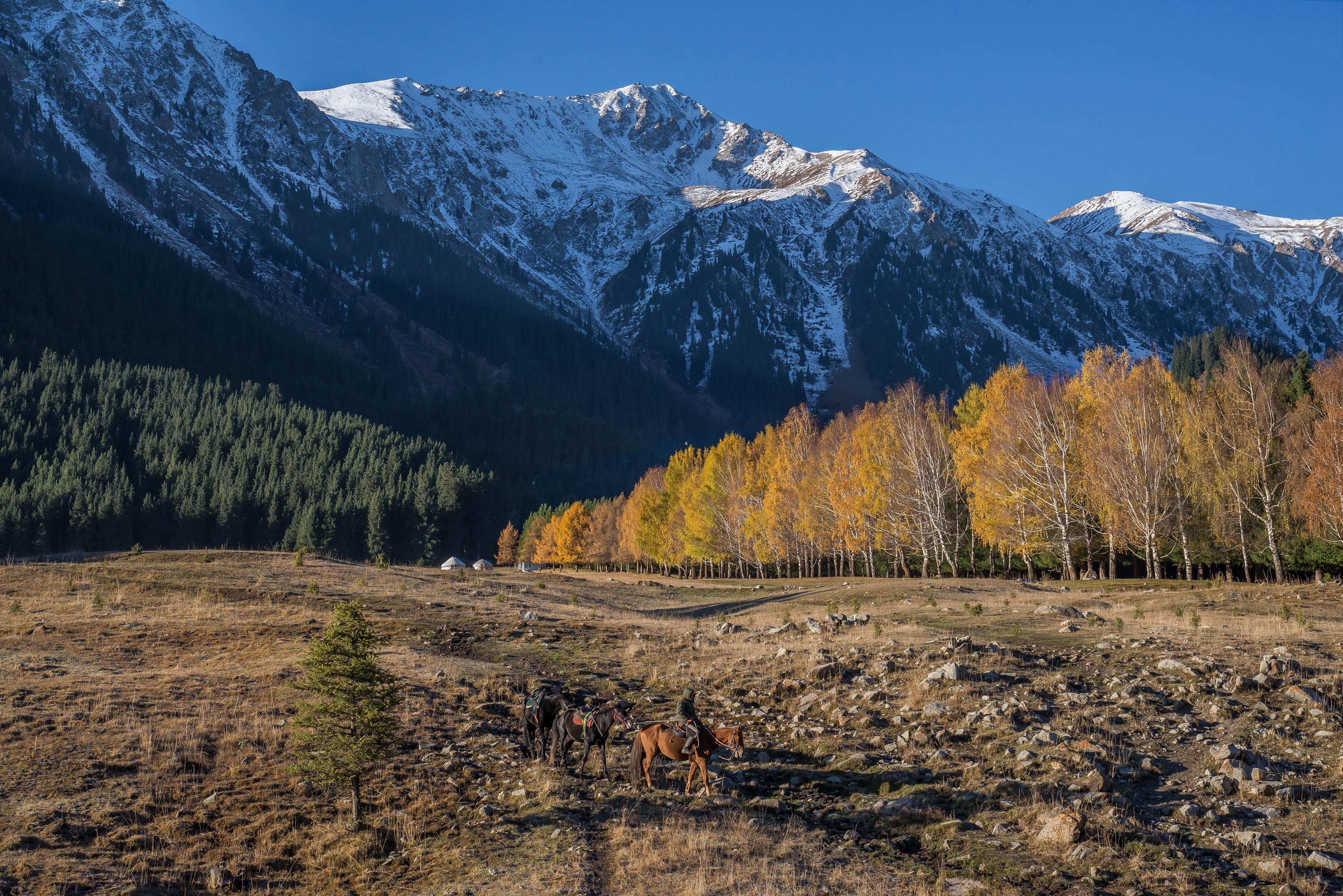 кыргызстан  горы, Евгений Дроботенко