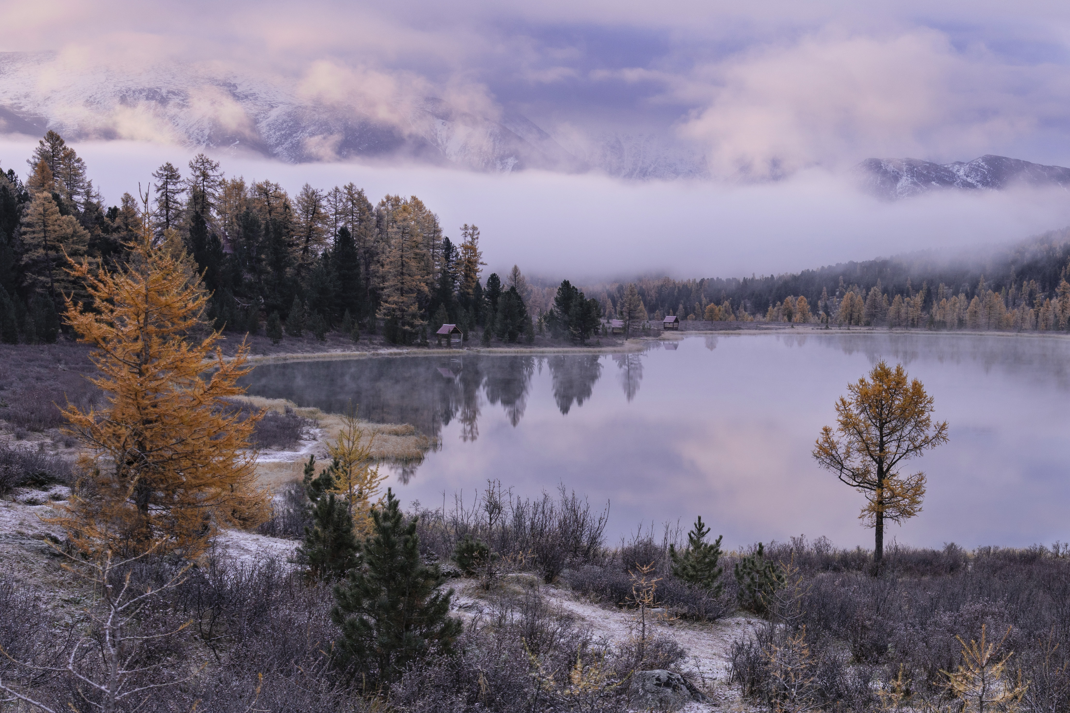 киделю, пейзаж, алтай, изморозь, Дейнекина Галина