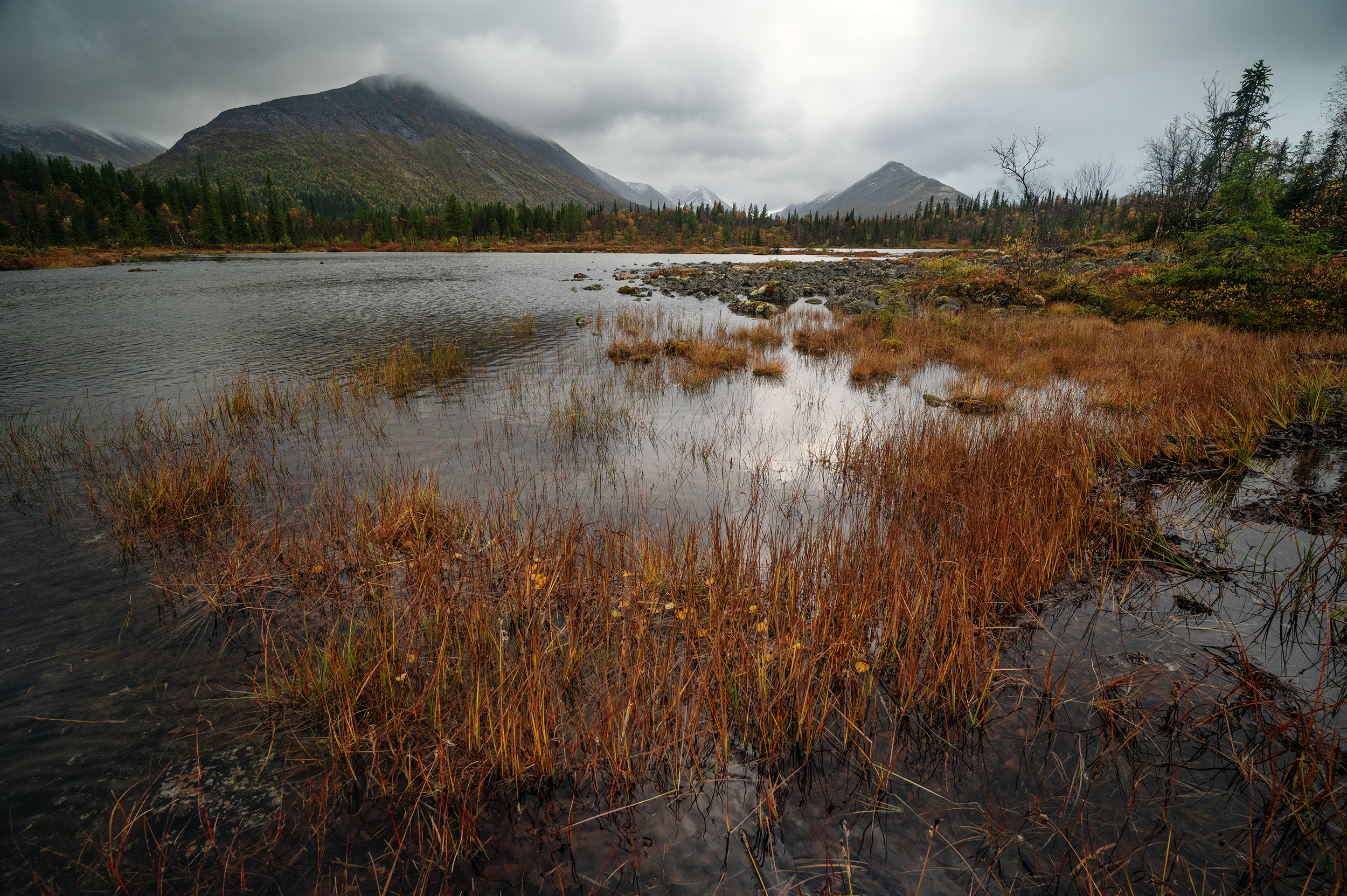 , Ян Сурогин