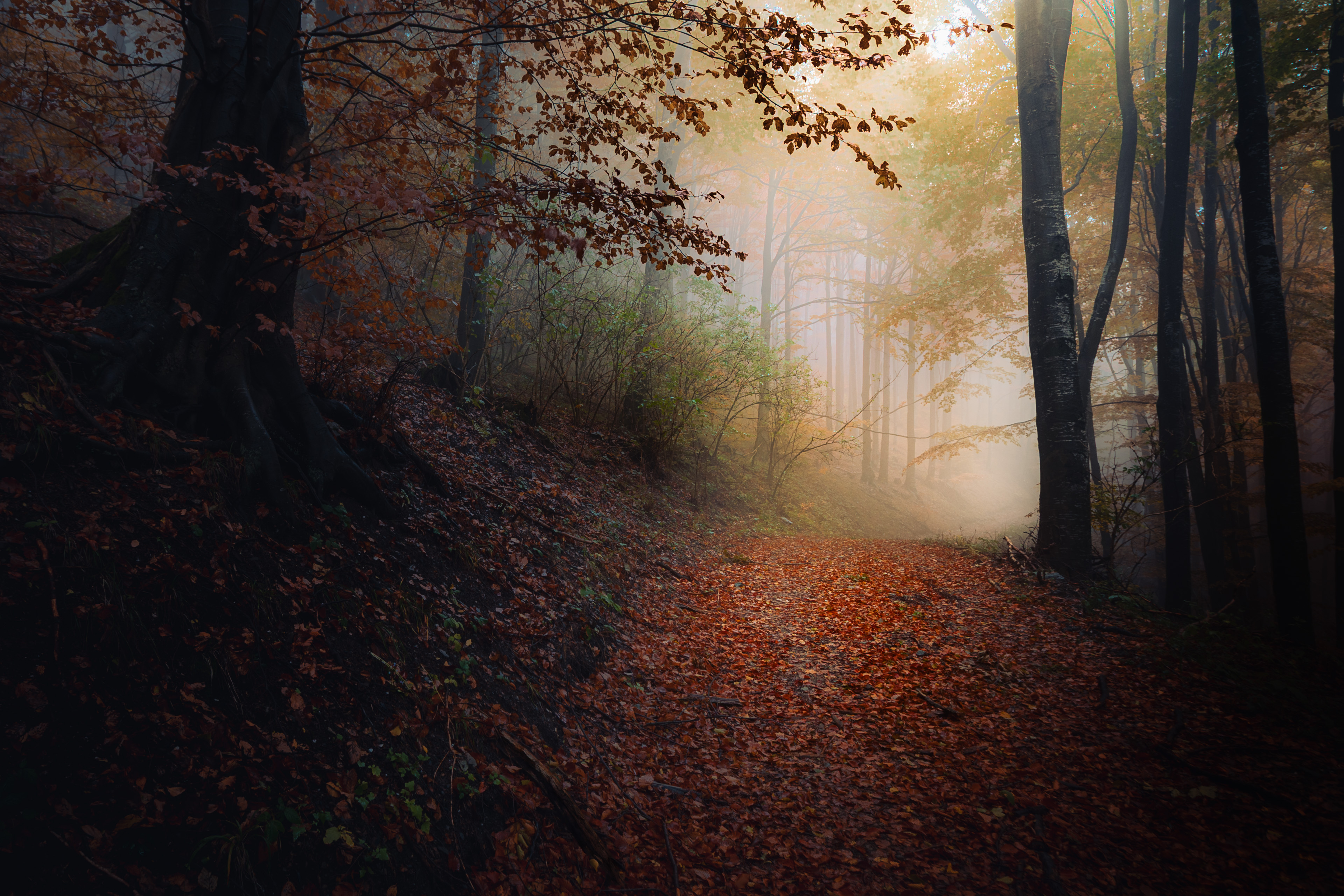 , Пенов Пламен